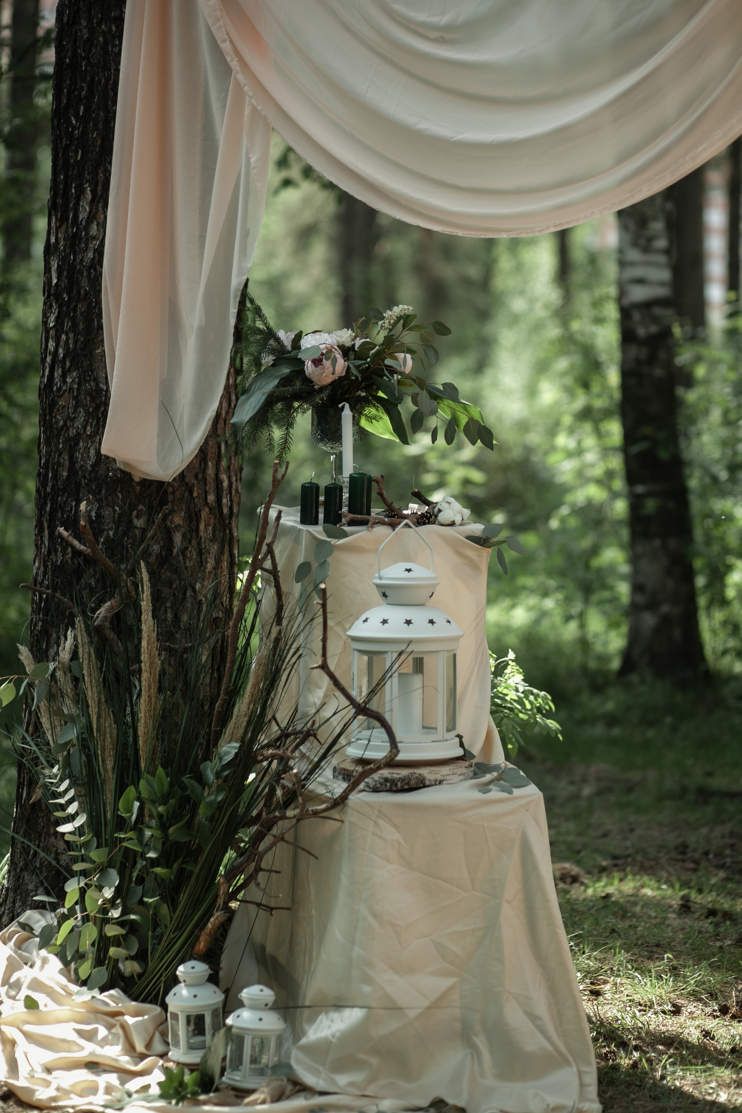 Alexandra & Dmitry Forest wed