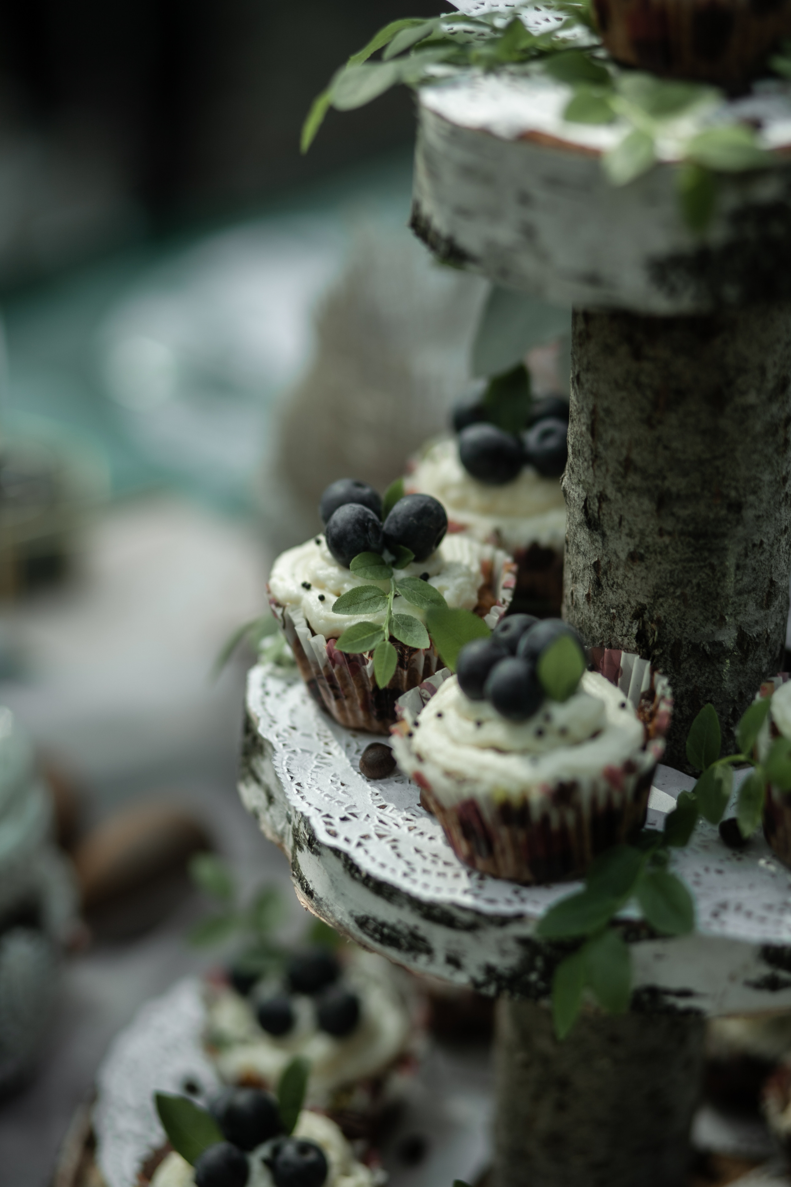 Alexandra & Dmitry Forest wed