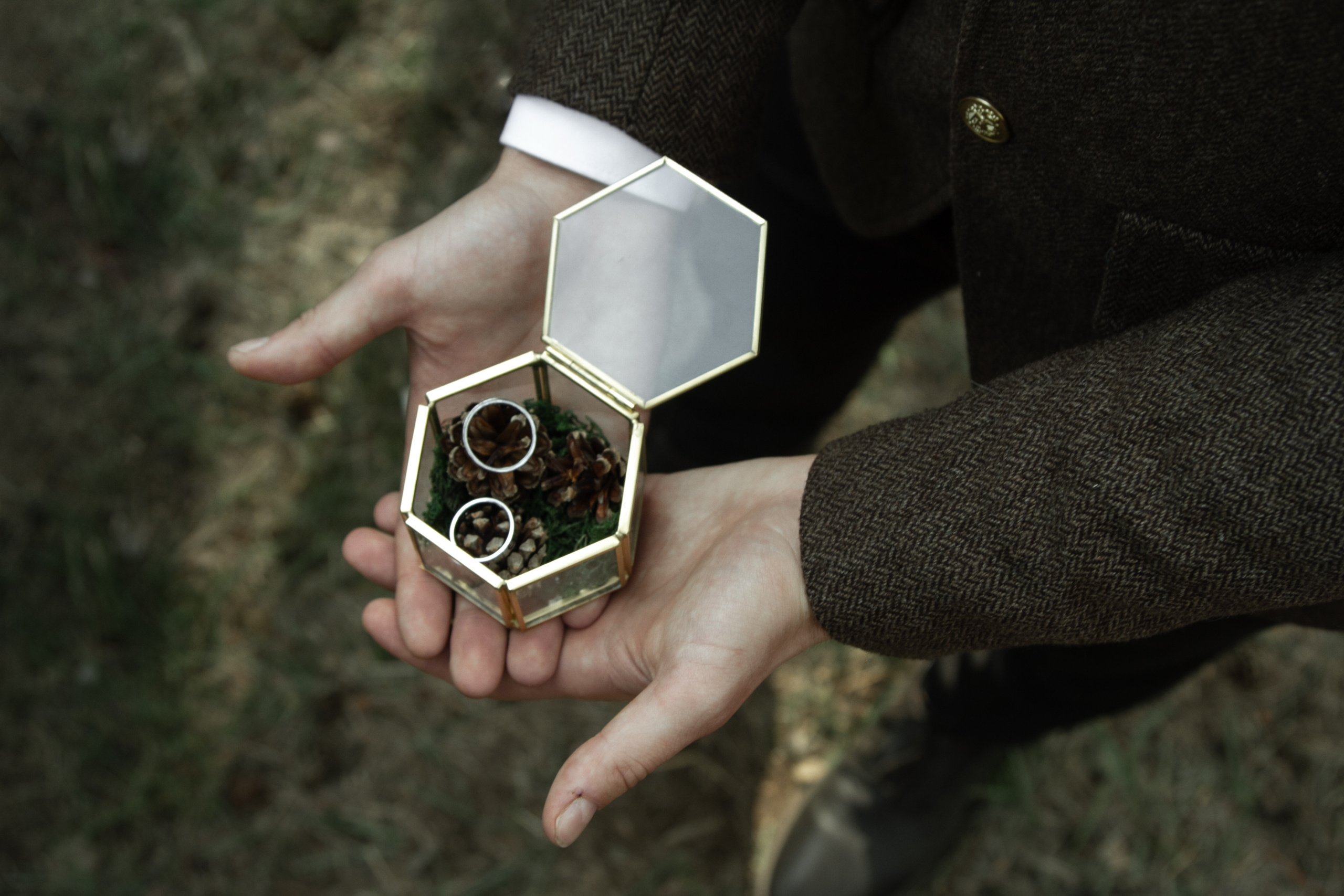 Alexandra & Dmitry Forest wed