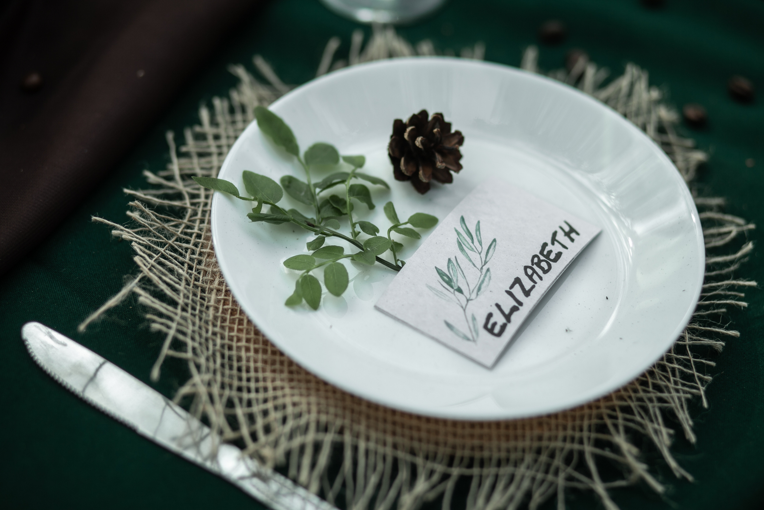 Alexandra & Dmitry Forest wed