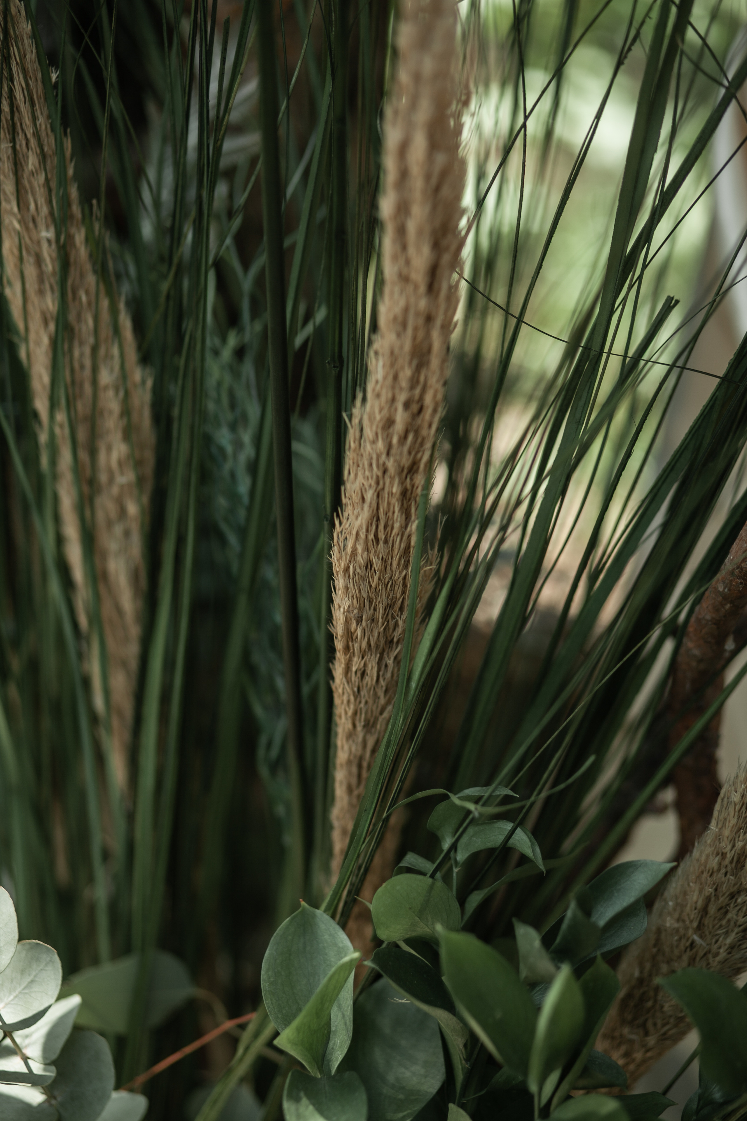 Alexandra & Dmitry Forest wed