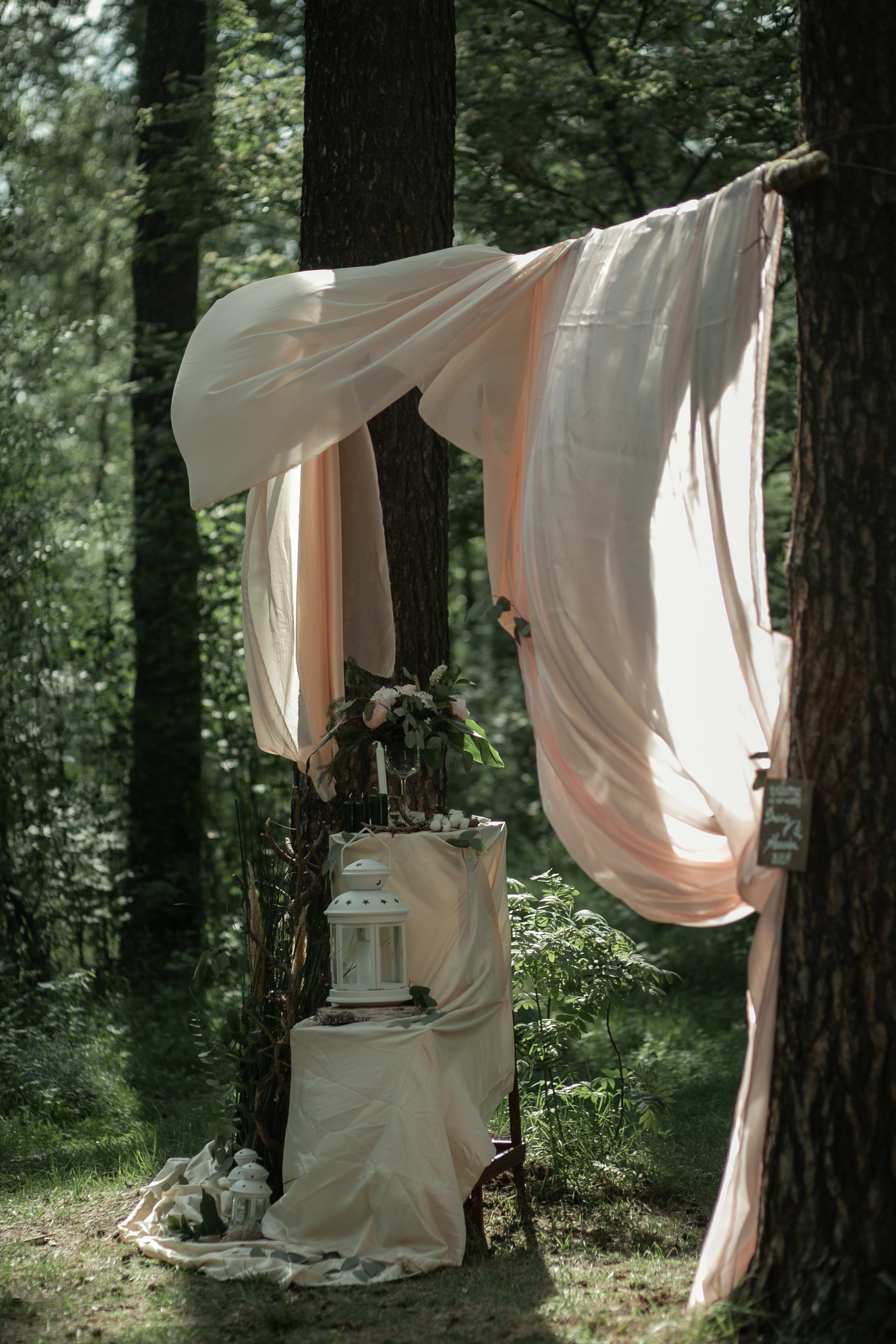 Alexandra & Dmitry Forest wed