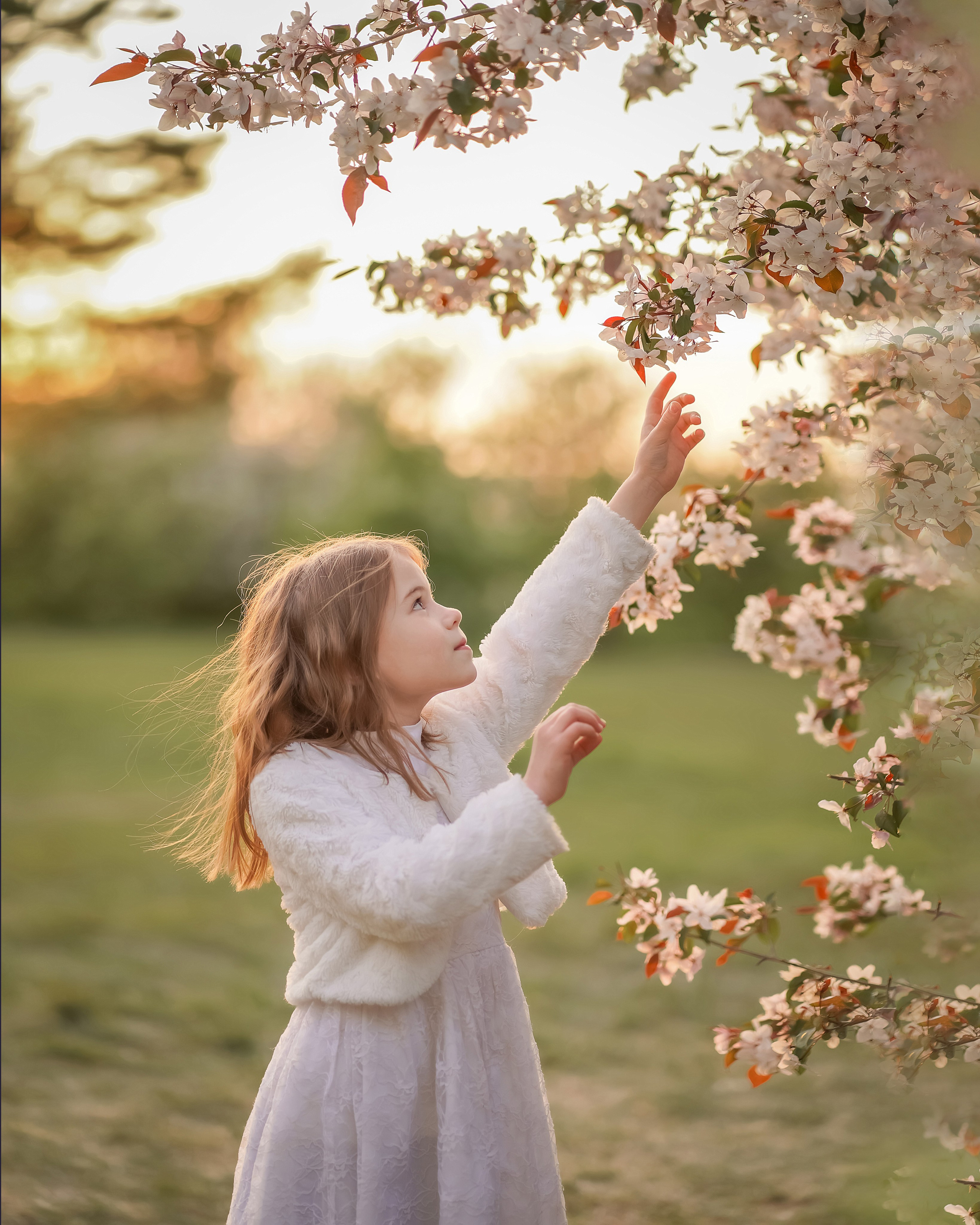 Цветение. Фотограф Татьяна Митрофанова