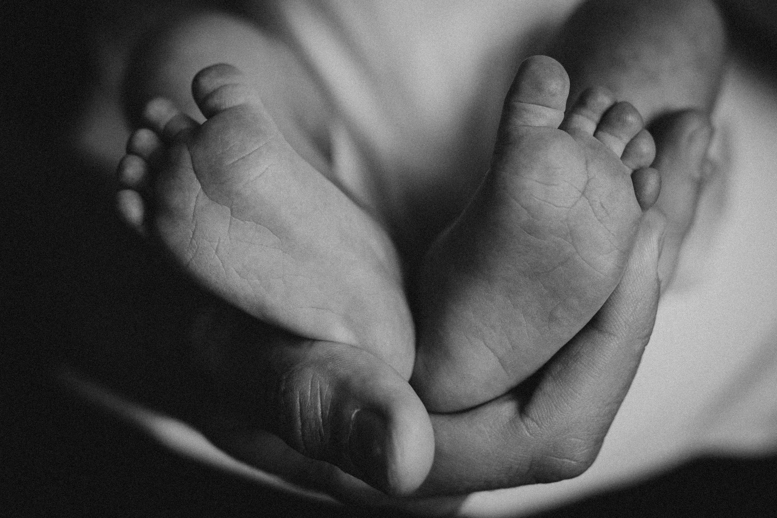 Рита, Коля и Василиса. Семейный фотограф и фотограф на роды в Ростове-на-Дону Мухина Виктория