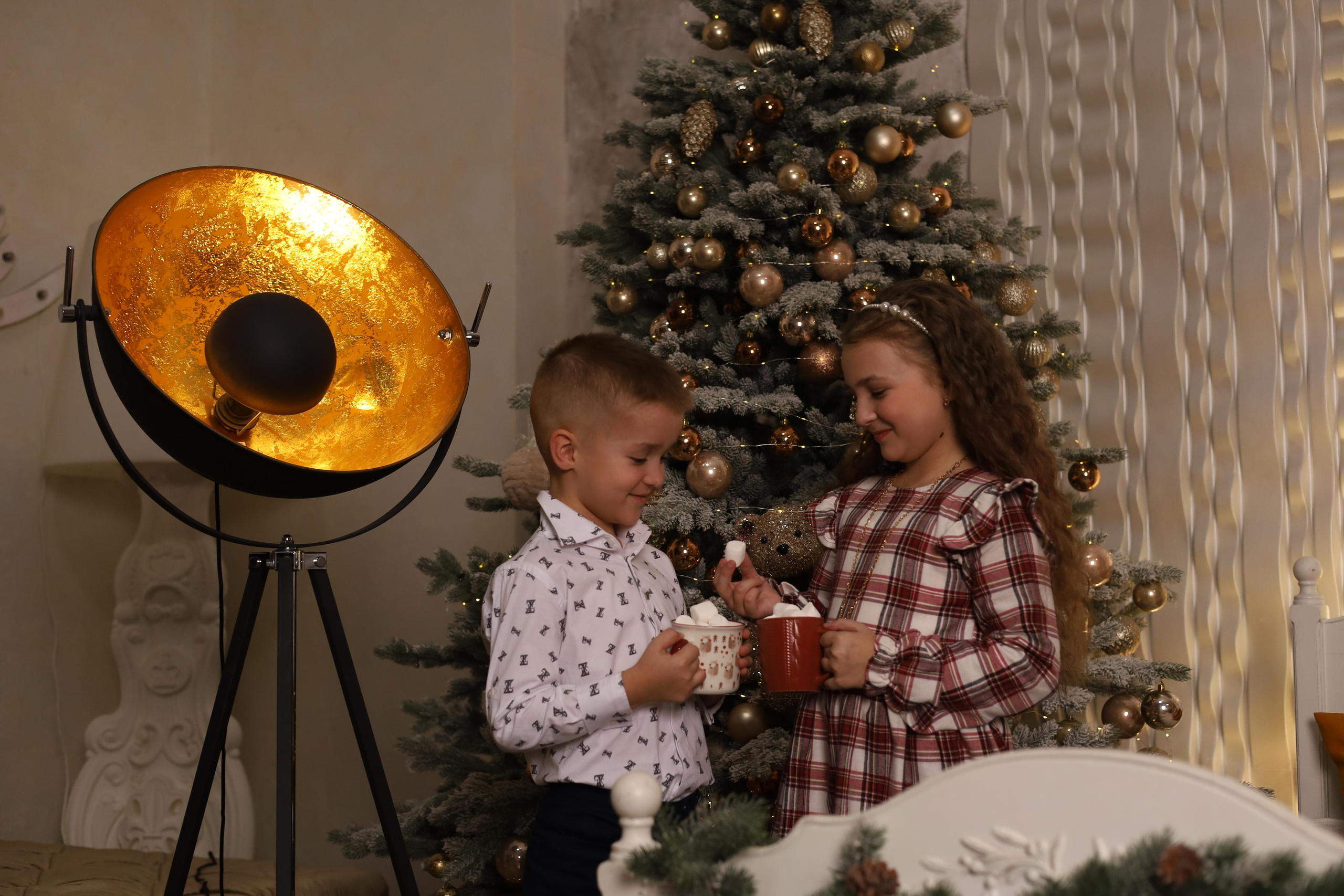 Новогоднее настроение. Детский сказочный фотограф Ярославль