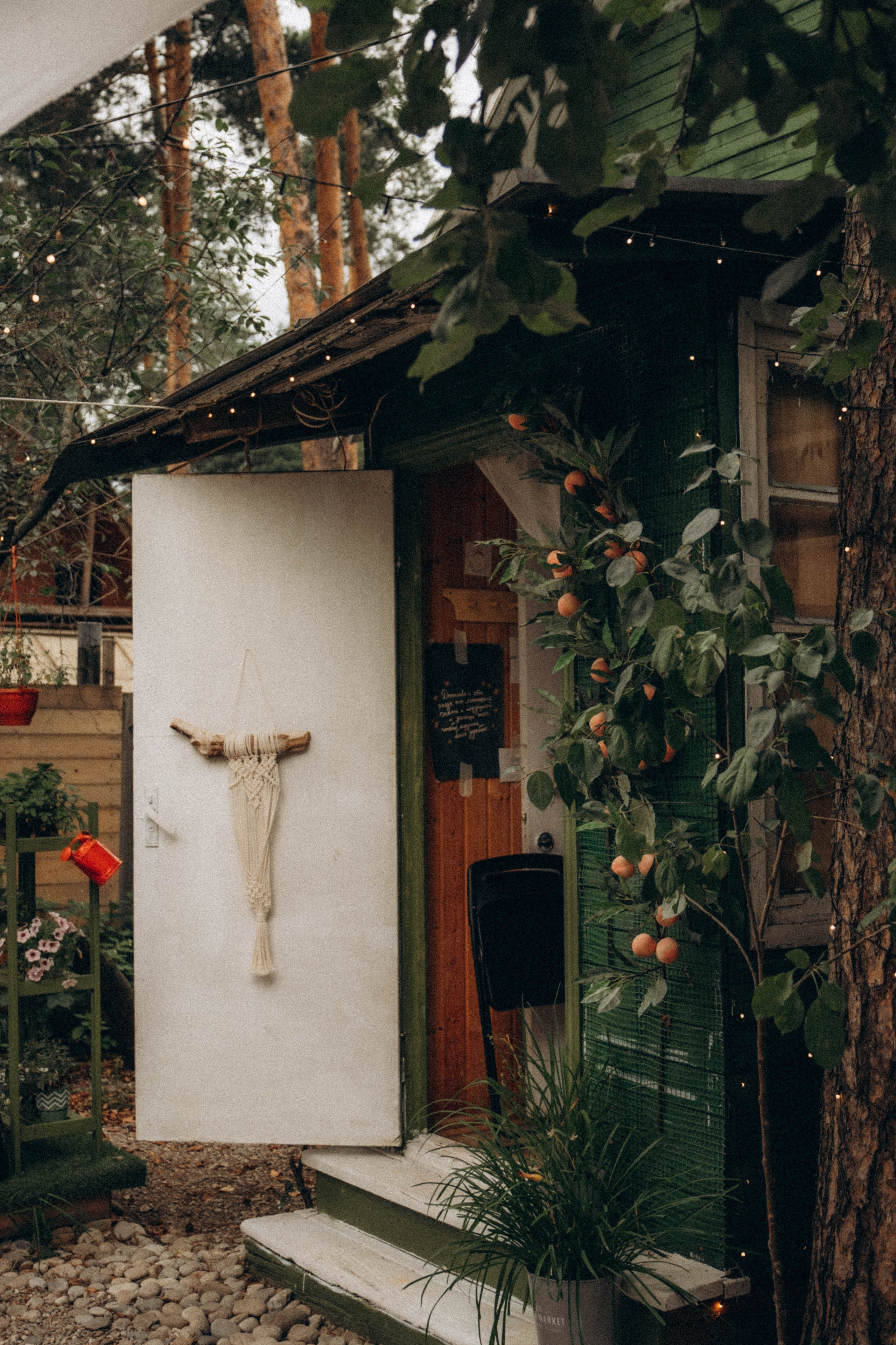 Встречи книжного клуба. Фотограф Москва Селюкова Юлия