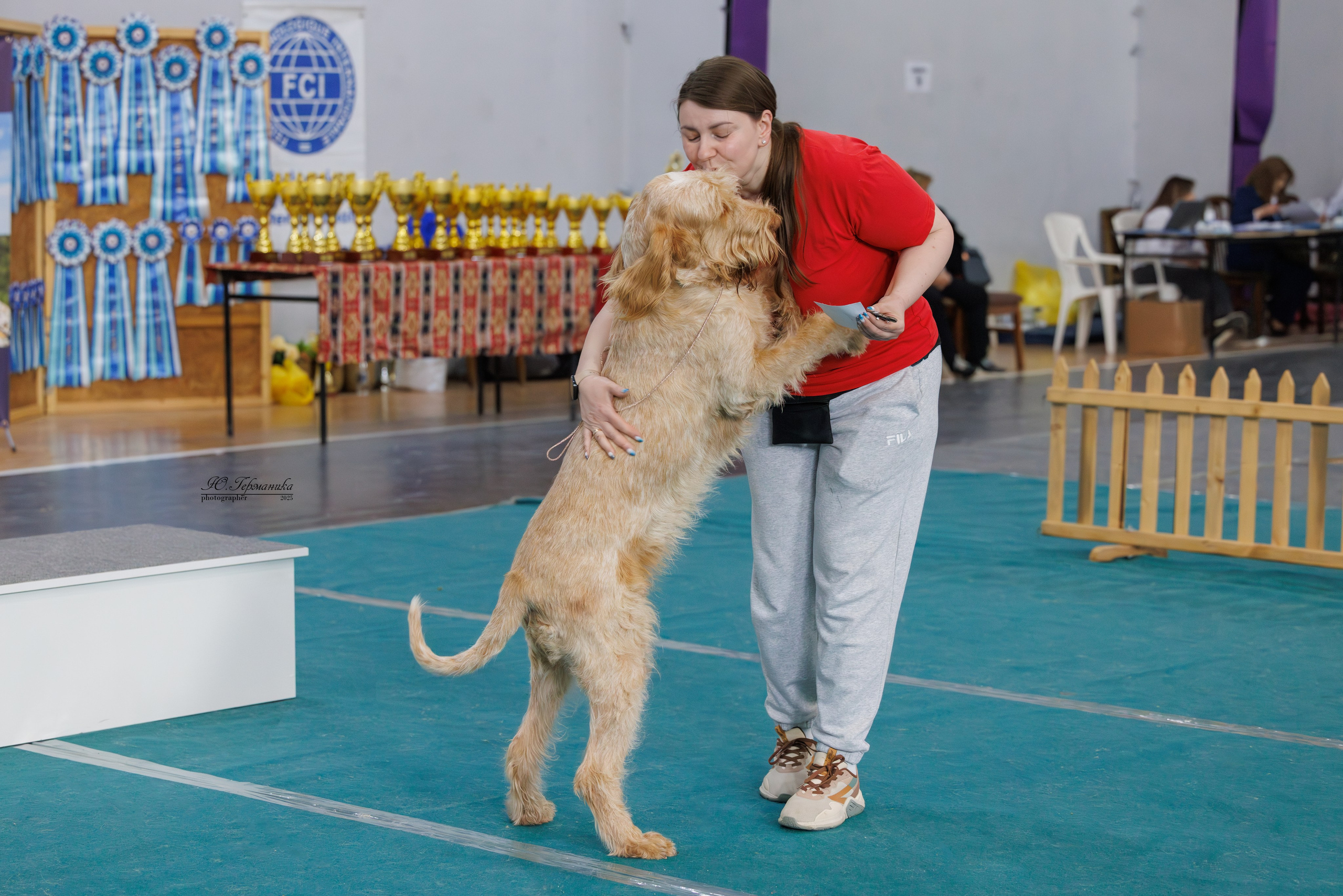 Ереван 2х CACIB 29-30.04.2025. Фотограф-анималист Юлия Германика