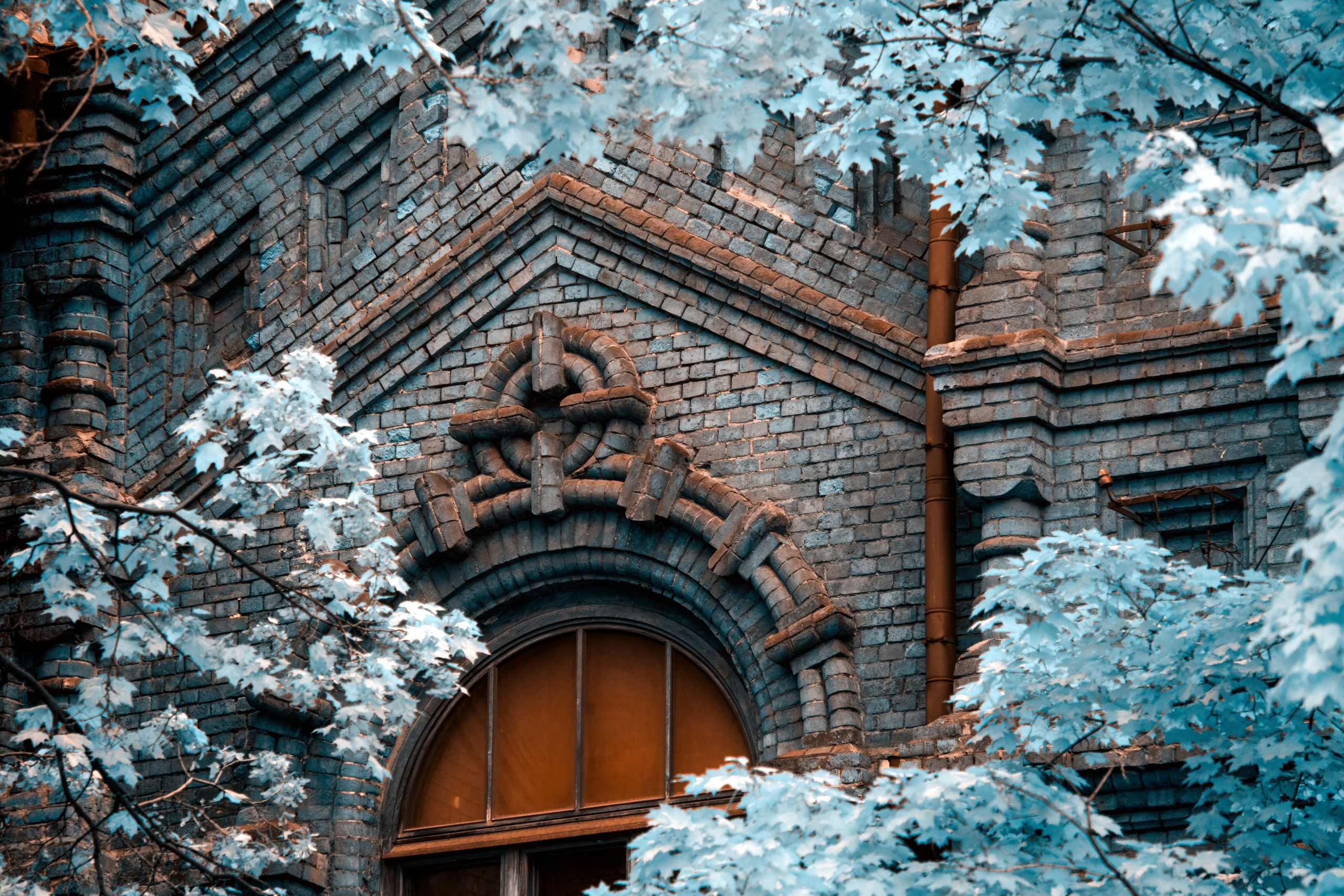 Color — Цветная