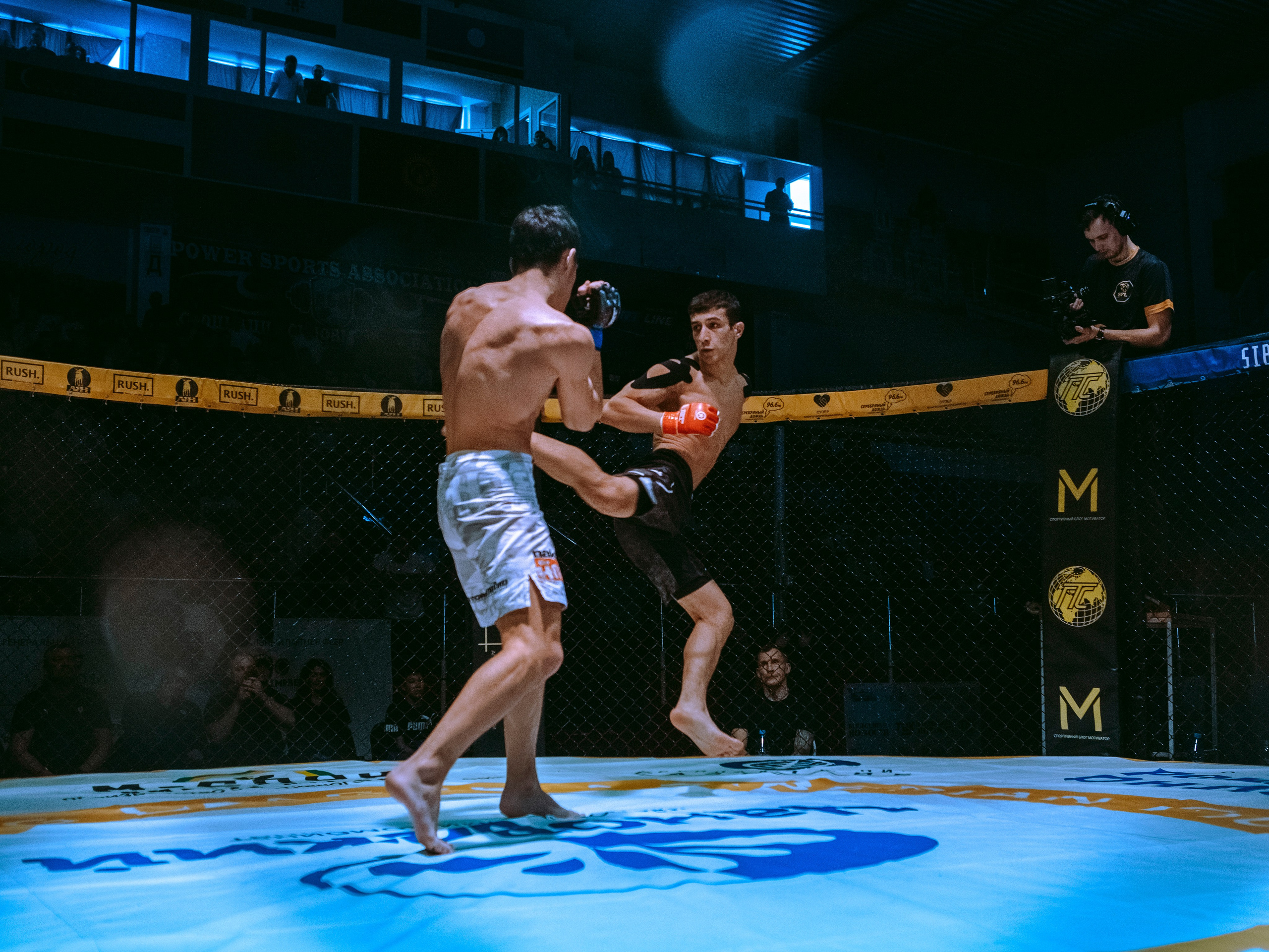 SFL 17 | Siberian Fighting League. Портретный фотограф в Москве Дарья Цезария