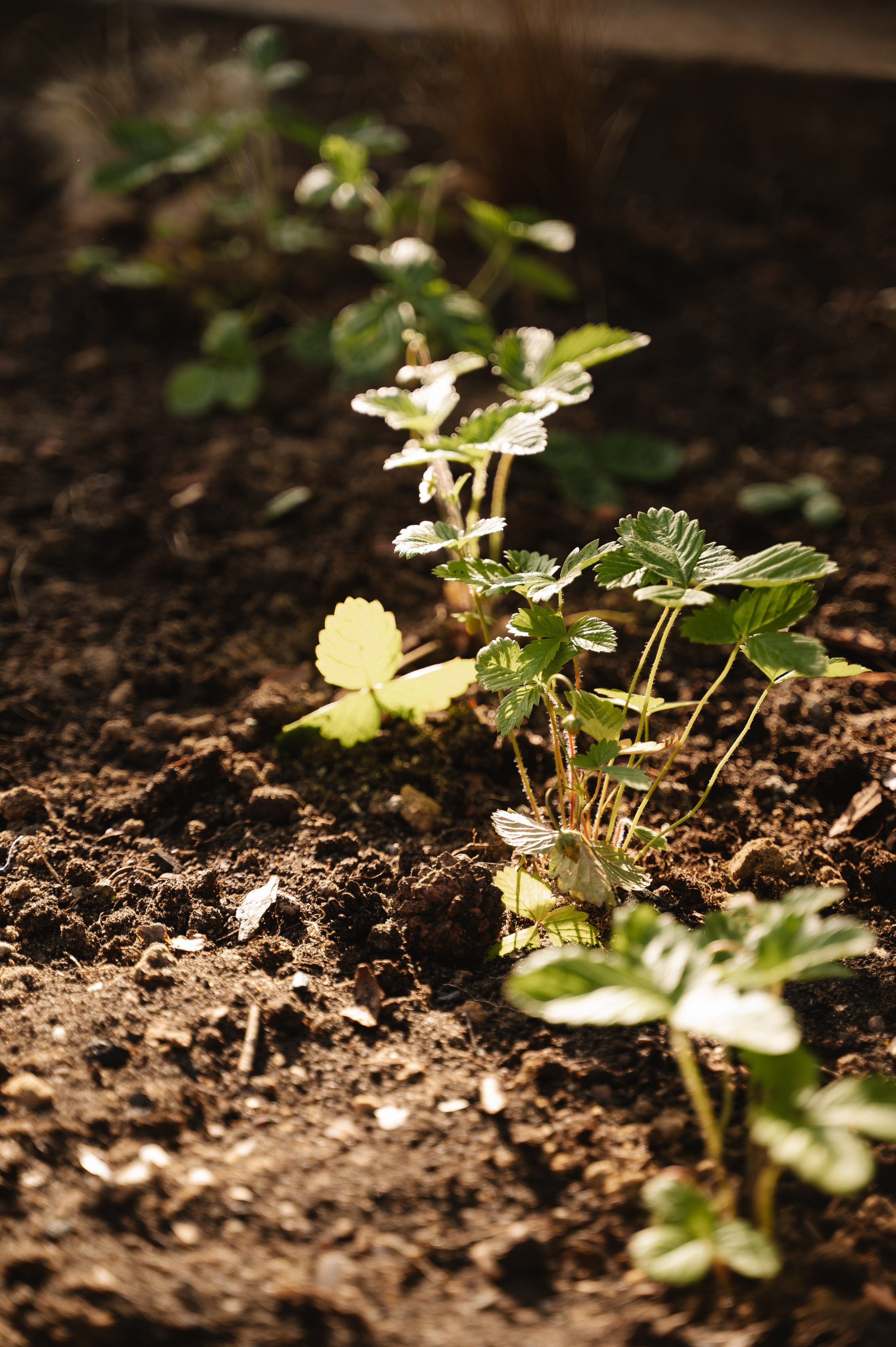 Годовщина|гендер. Фотограф — Ася Орехова
