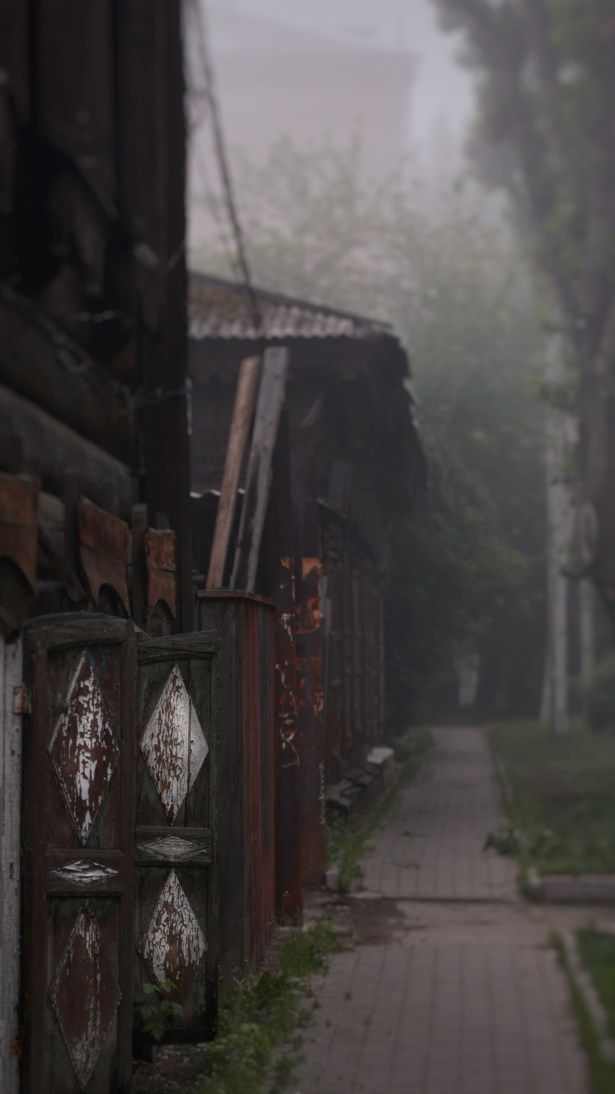 2022. Тащилин Сергей. Фотографии. Жизнь. Хобби