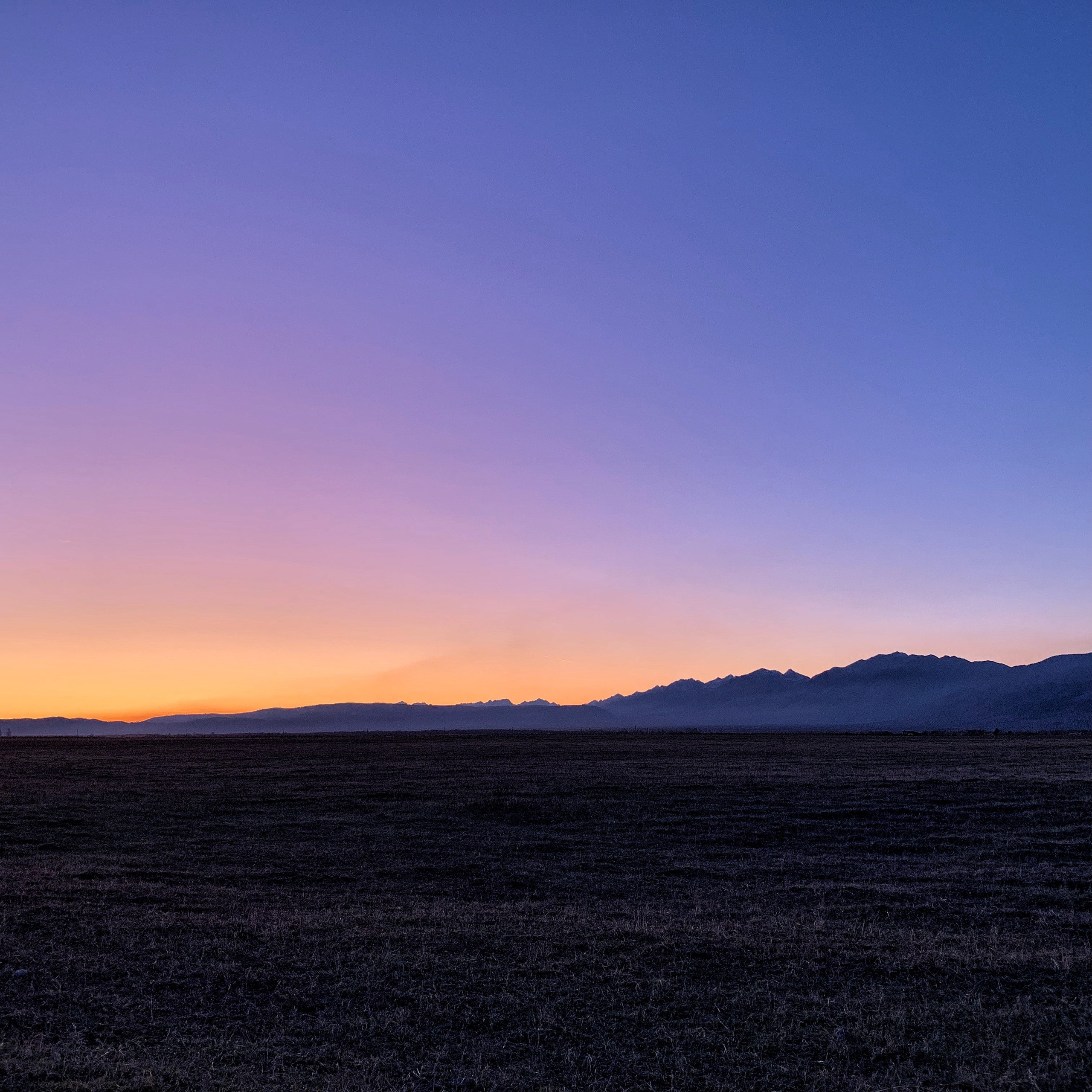 2019 год. Тащилин Сергей. Фотографии. Жизнь. Хобби