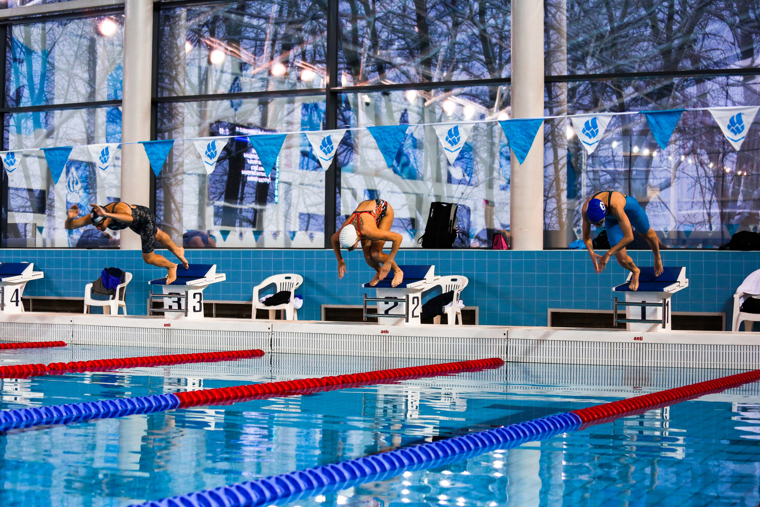 Соревнования по плаванию. Репортажный, семейный, свадебный, портретный фотограф