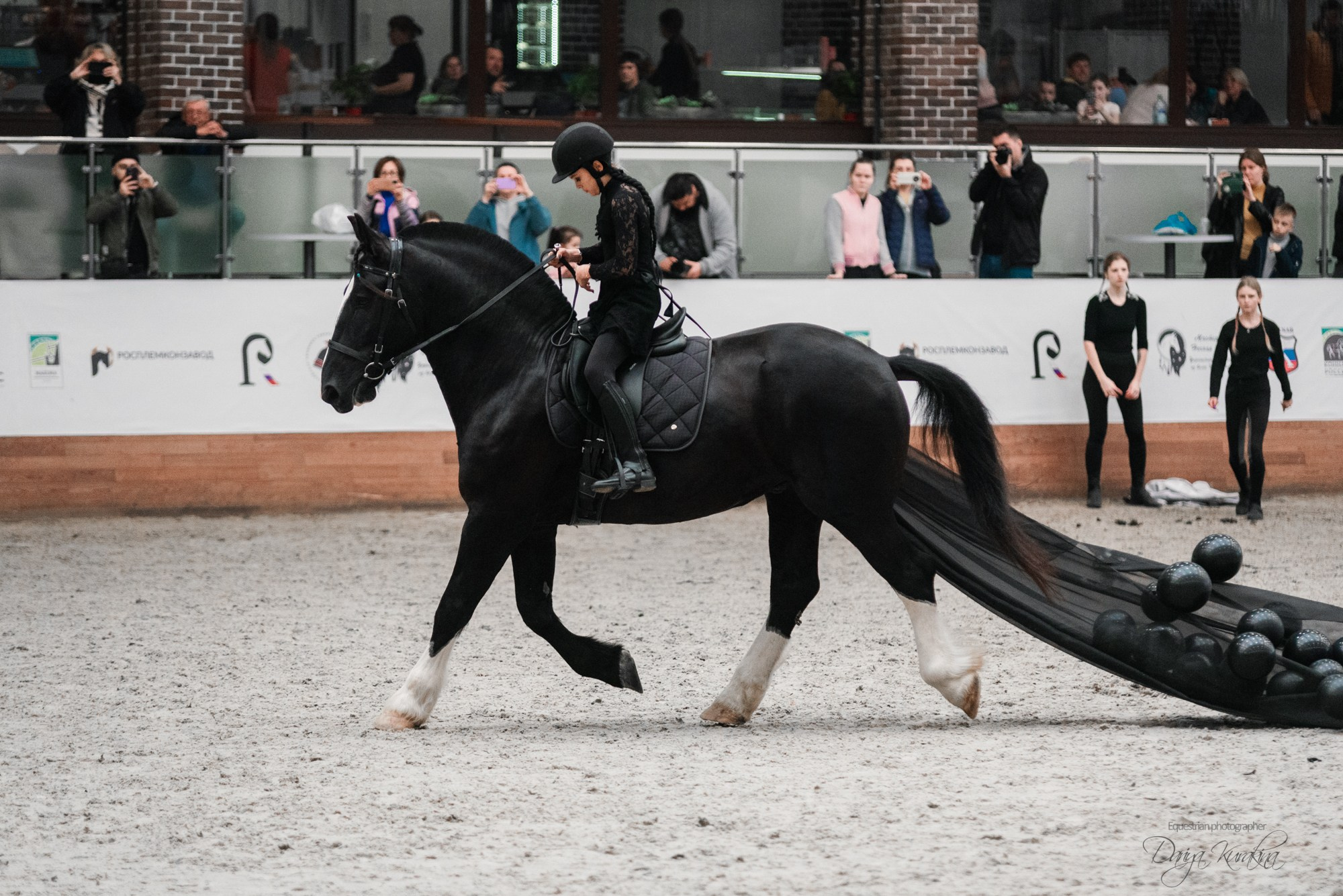8-я международная выставка Конная Россия. Конный фотограф Куракина Дарья • Фотосессии с лошадьми