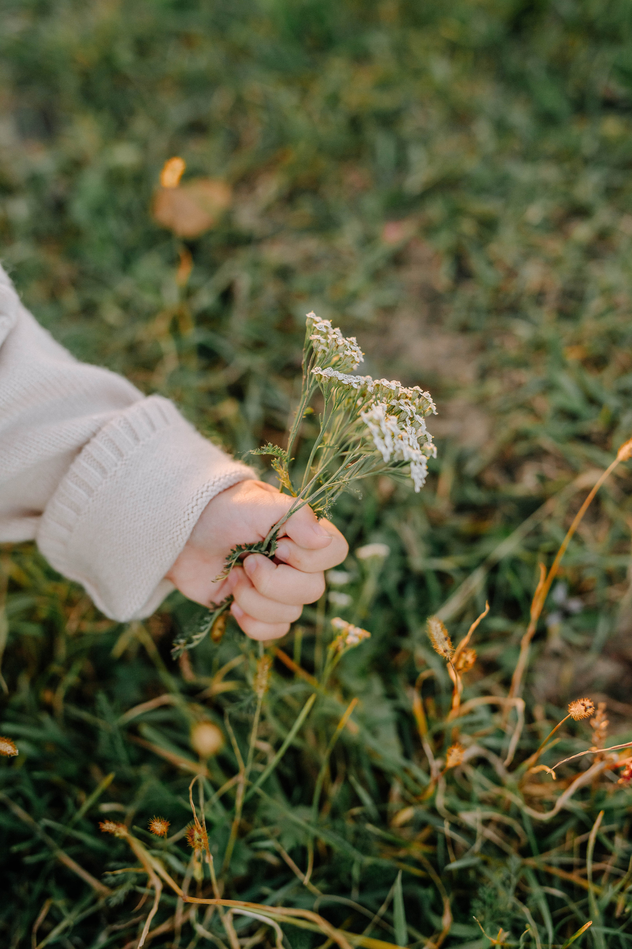 Теплый осенний вечер. Свадебный и семейный фотограф Сасина Элина г.Хабаровск