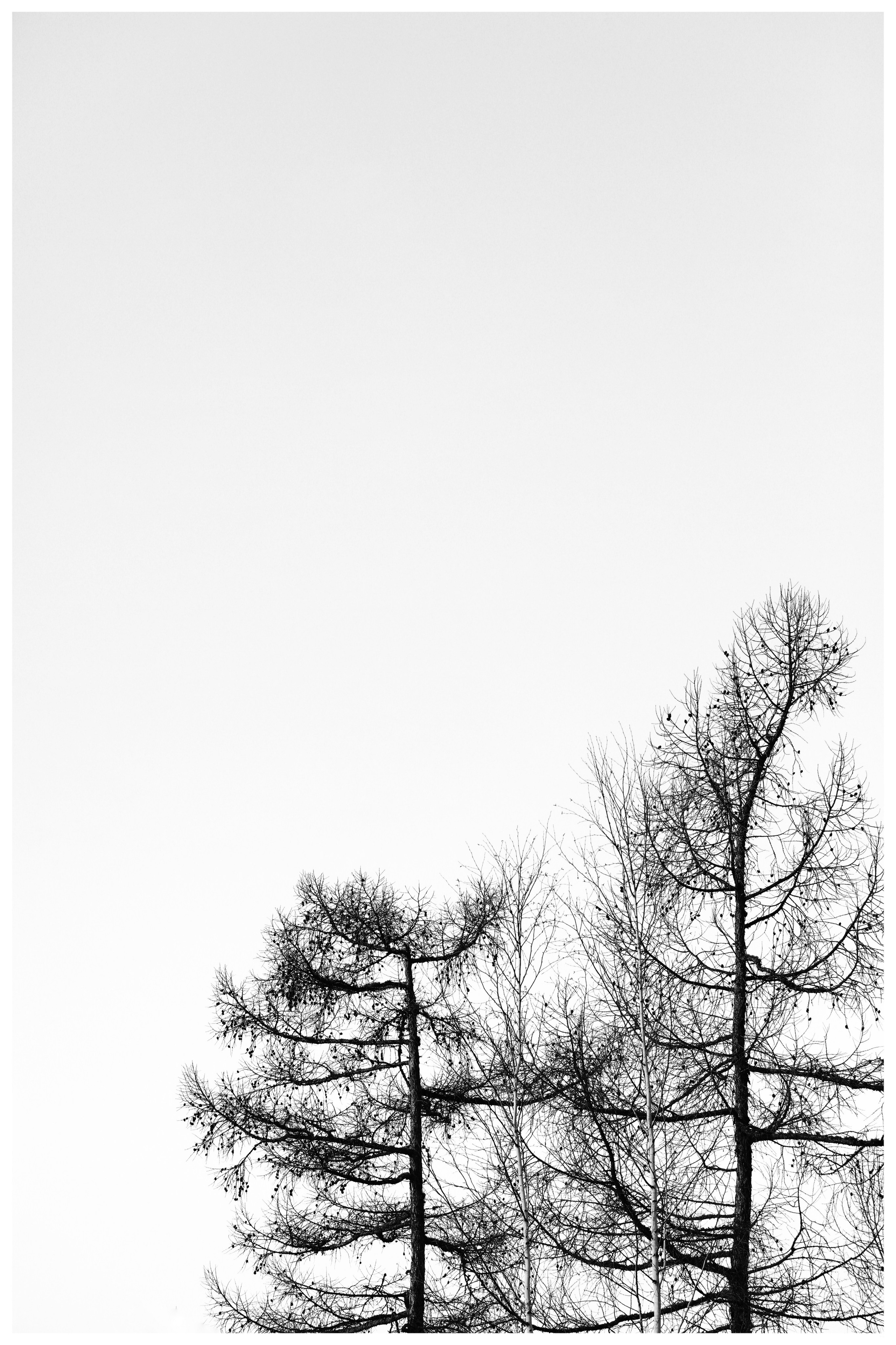 2020. Тащилин Сергей. Фотографии. Жизнь. Хобби