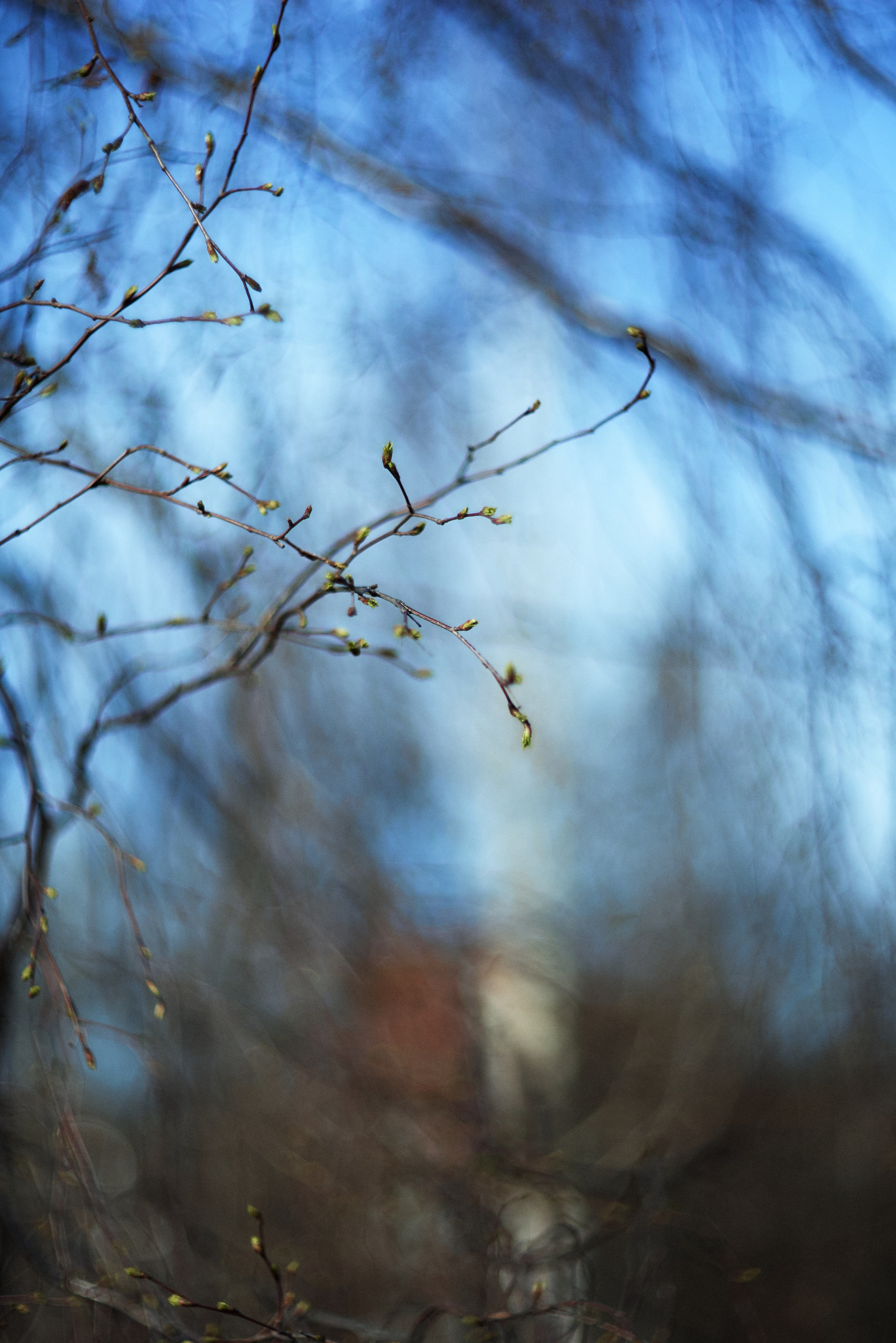 L19. Свадебный фотограф Санкт-Петербург DanyaPhotoart