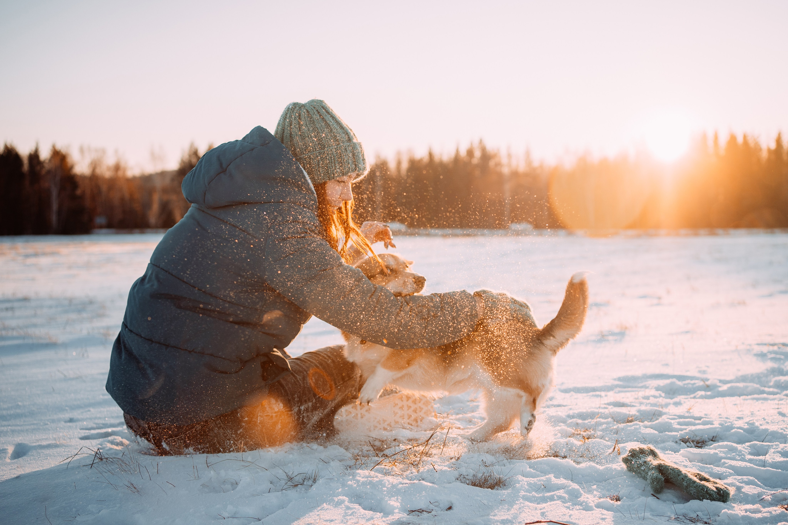 Виктория и Виски. Фотограф-анималист Анастасия Большакова