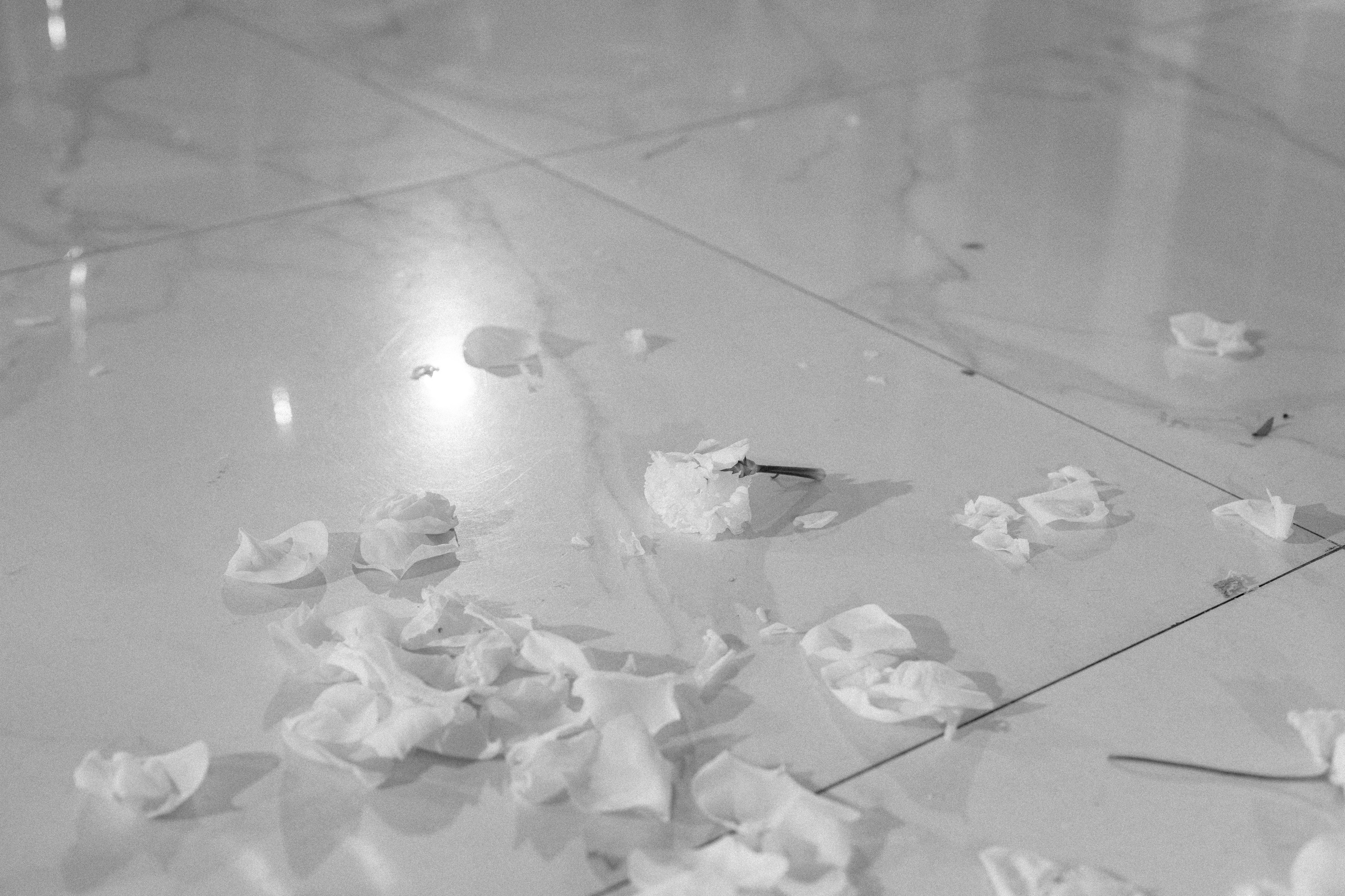 Матвей и Ксения. Свадебный фотограф и видеограф