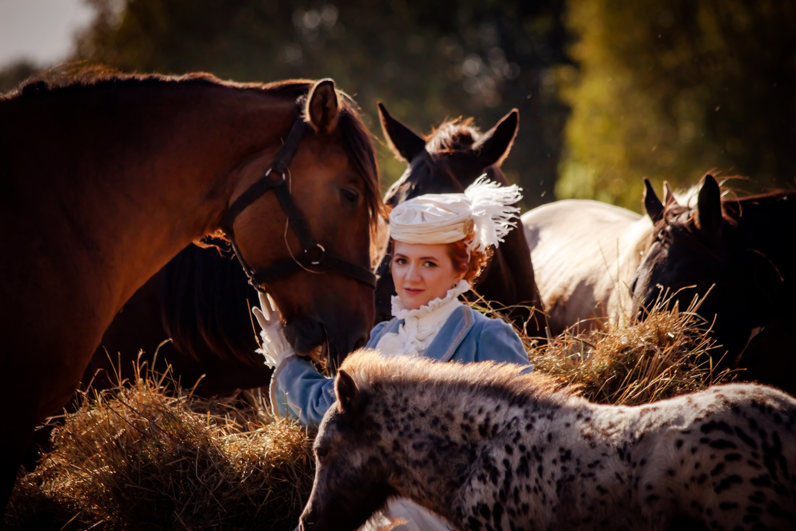 Фотосессия в Аванпост. Фотограф анималист — Тула, Москва