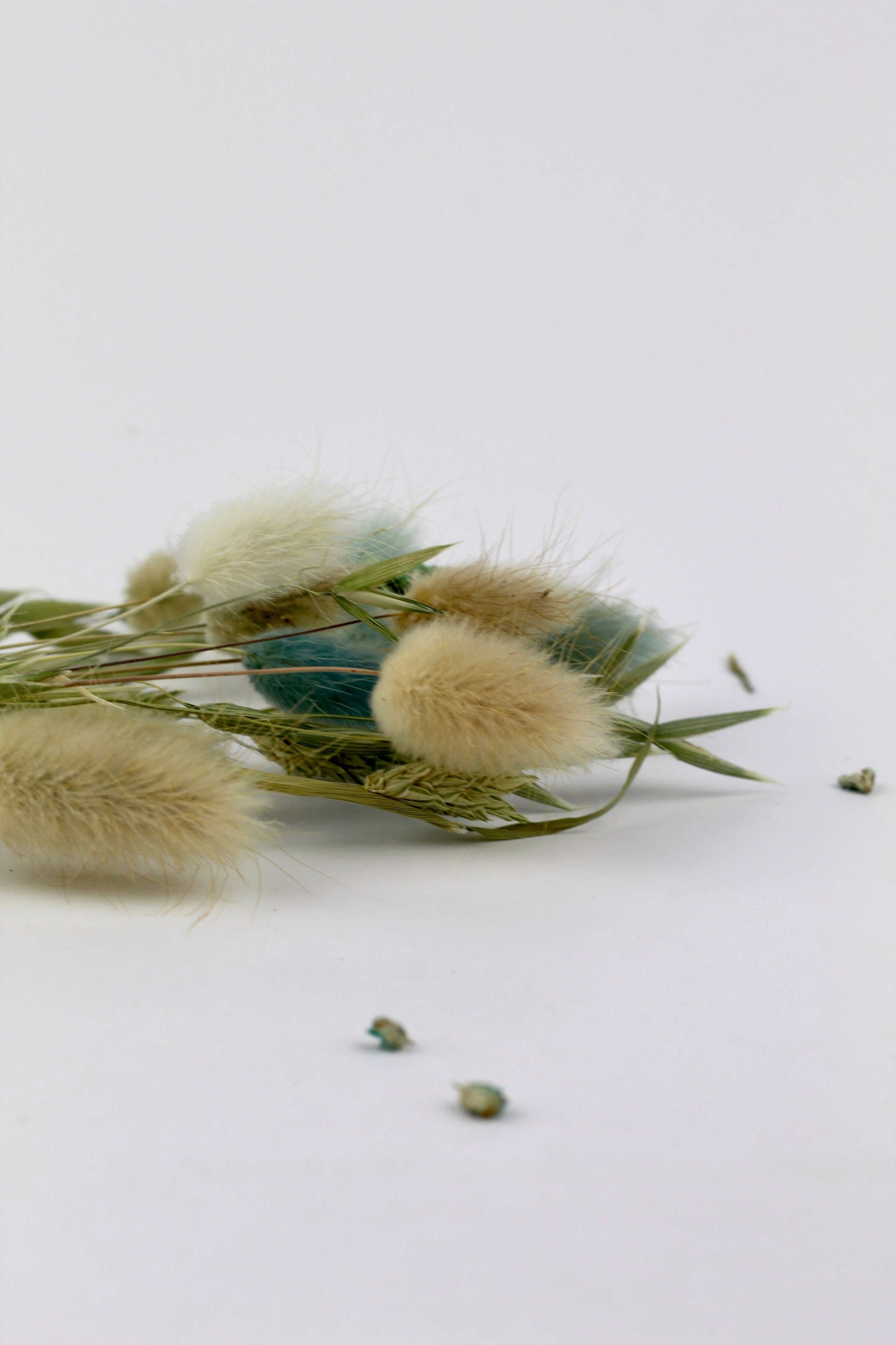 ПРЕДМЕТНАЯ фотосъемка. Tuspukto