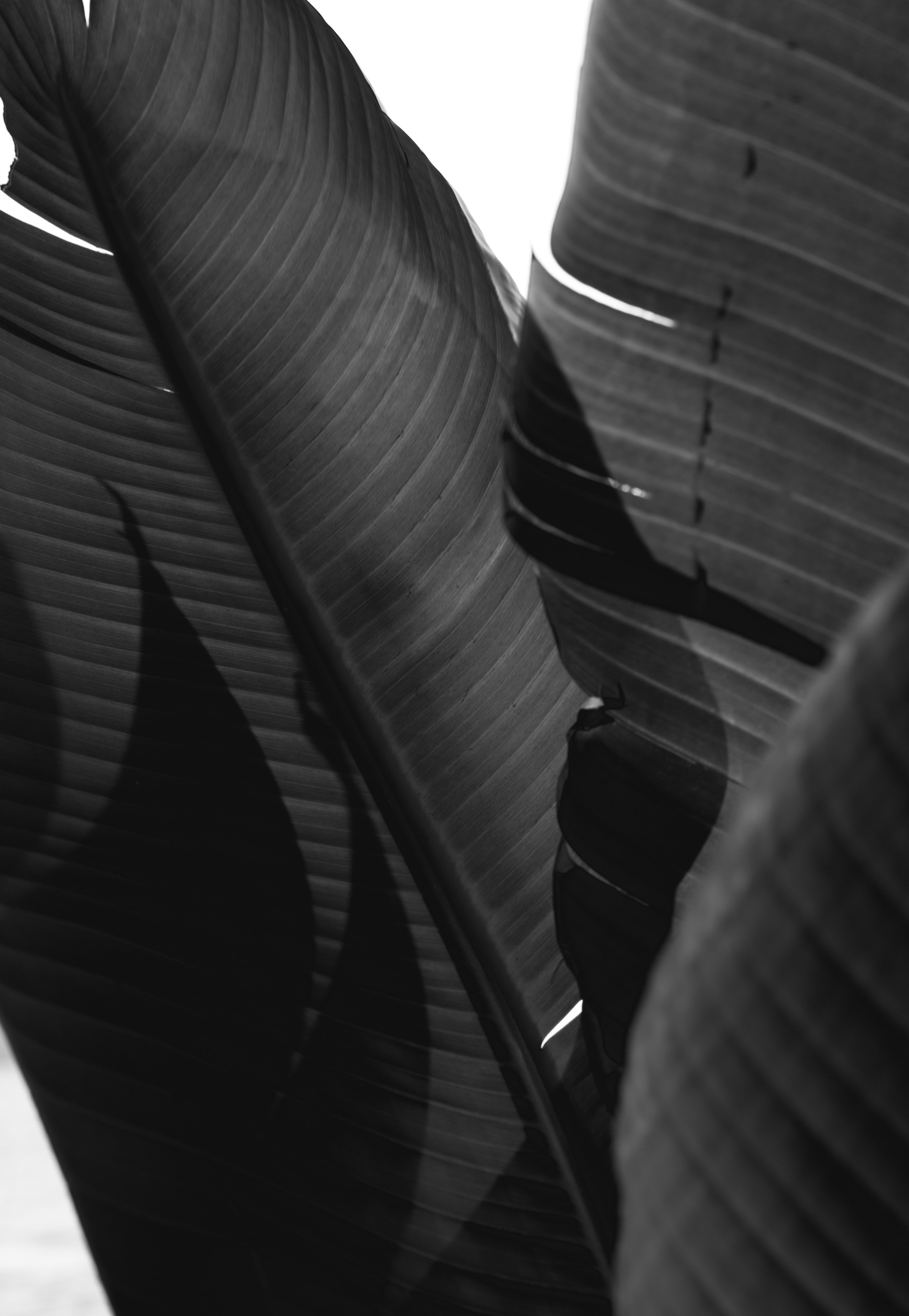 Если это то самое — впереди вся жизнь