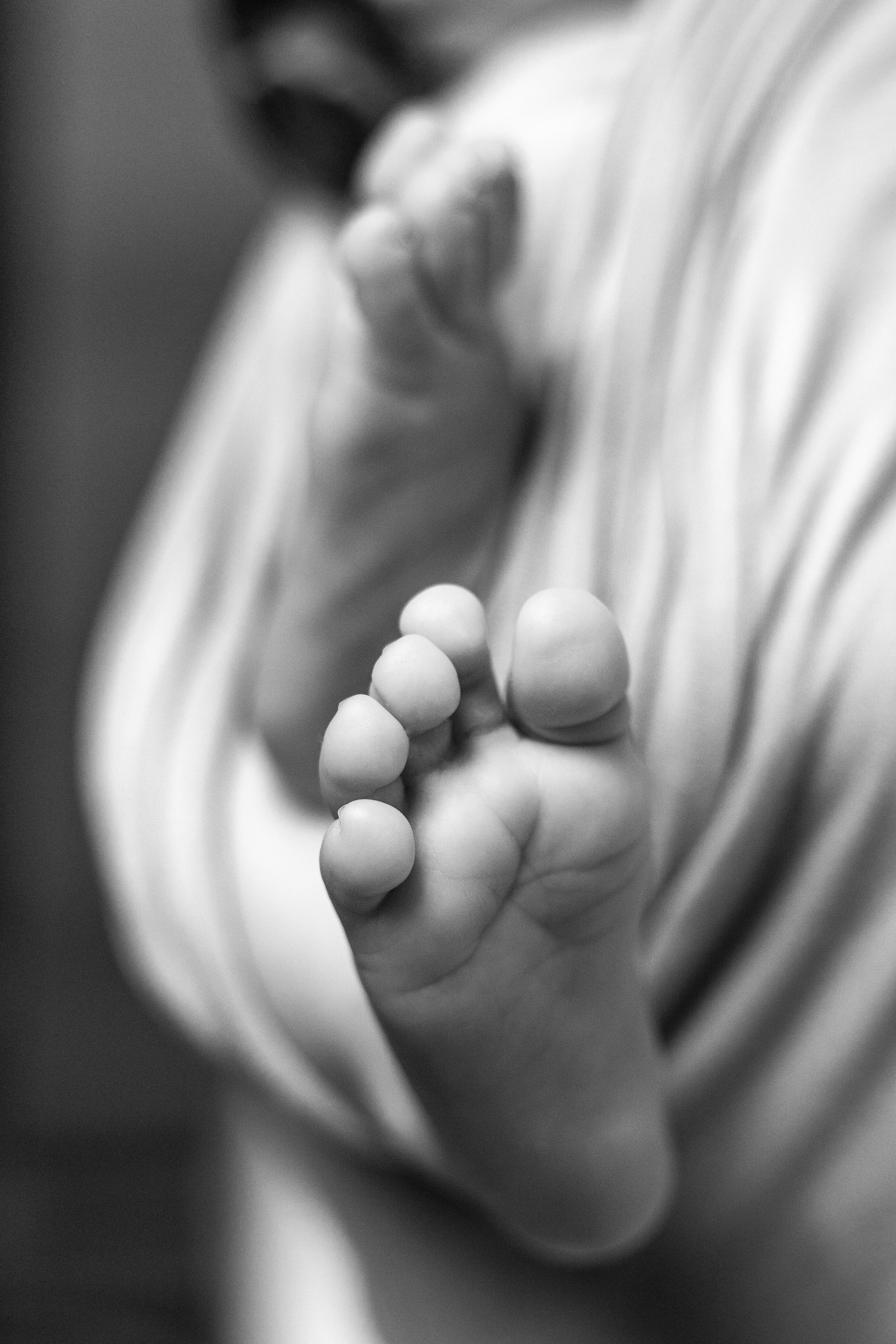 Новорожденные. Фотограф Москва Подольск МО