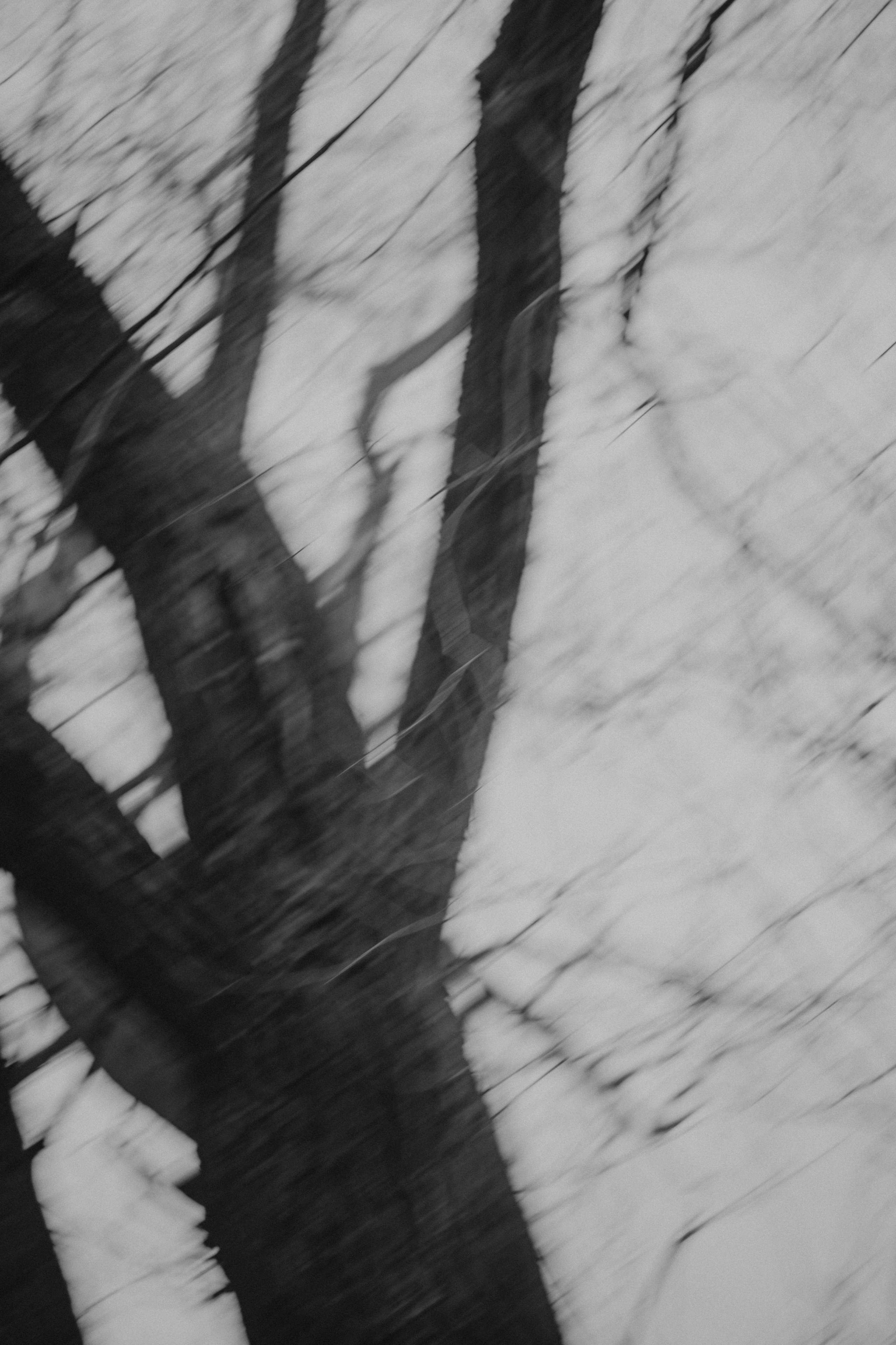 Диана и Антон. Свадебный и семейный фотограф Женя Добрянская в Нижнем Новгороде