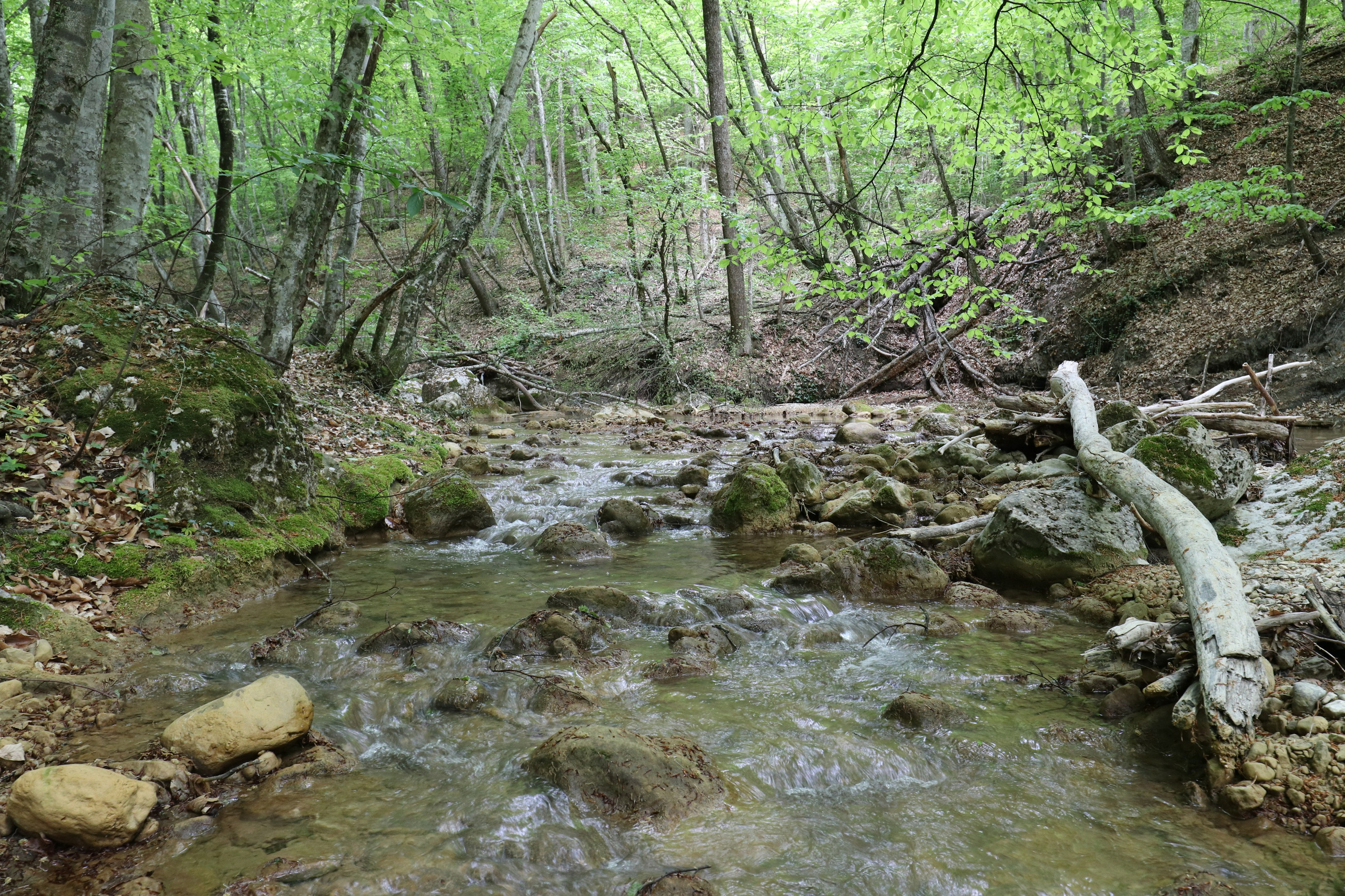 Крым. ЮБК (Бахчисарай, Демерджи, Судак). Первый скалолазный выезд. Май 2019. Путешественник-фотограф из Санкт-Петербурга Татьяна Свистулина