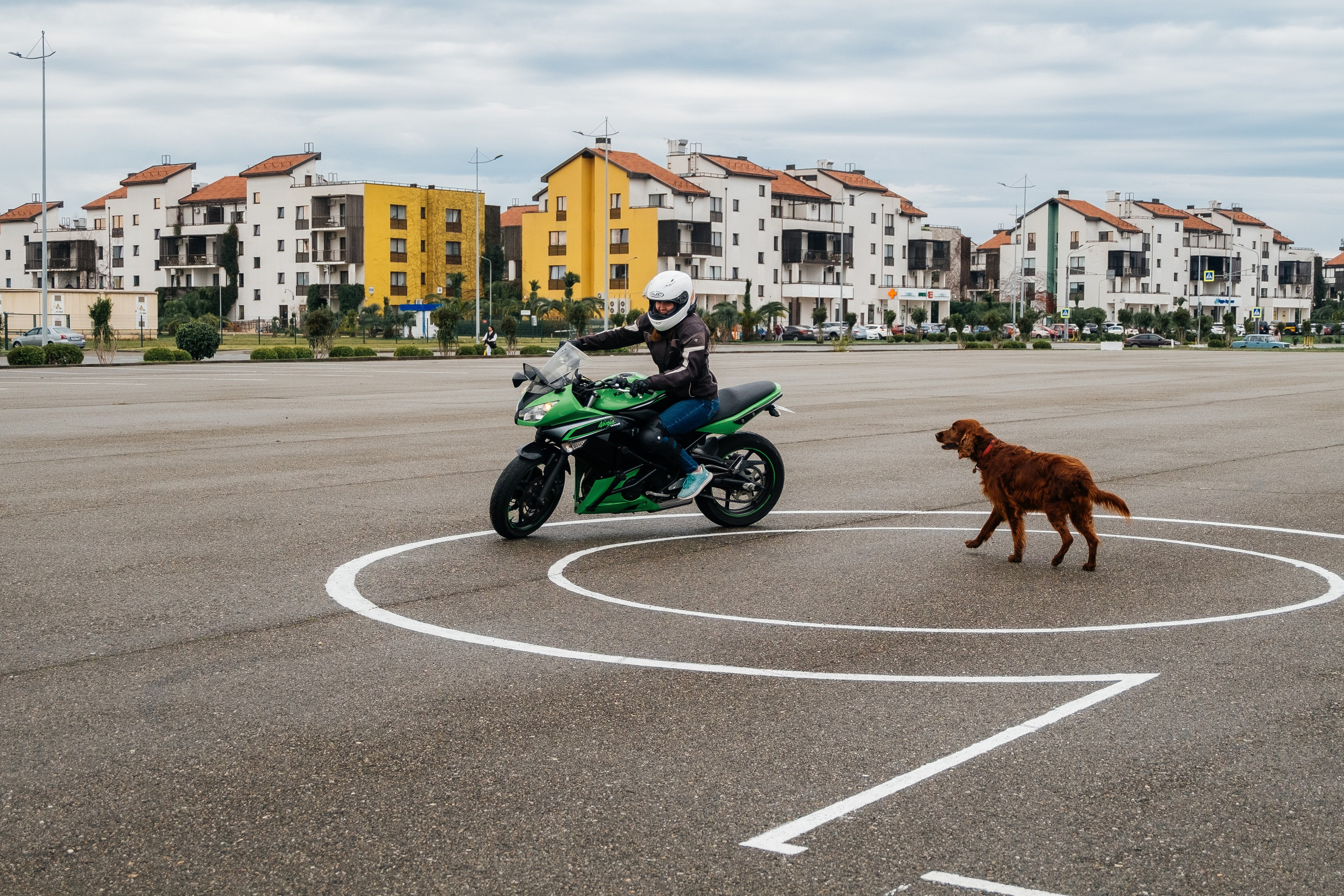 Портфолио для мотошколы. Фотограф на Шри-Ланке|Свадьба на Шри-Ланке