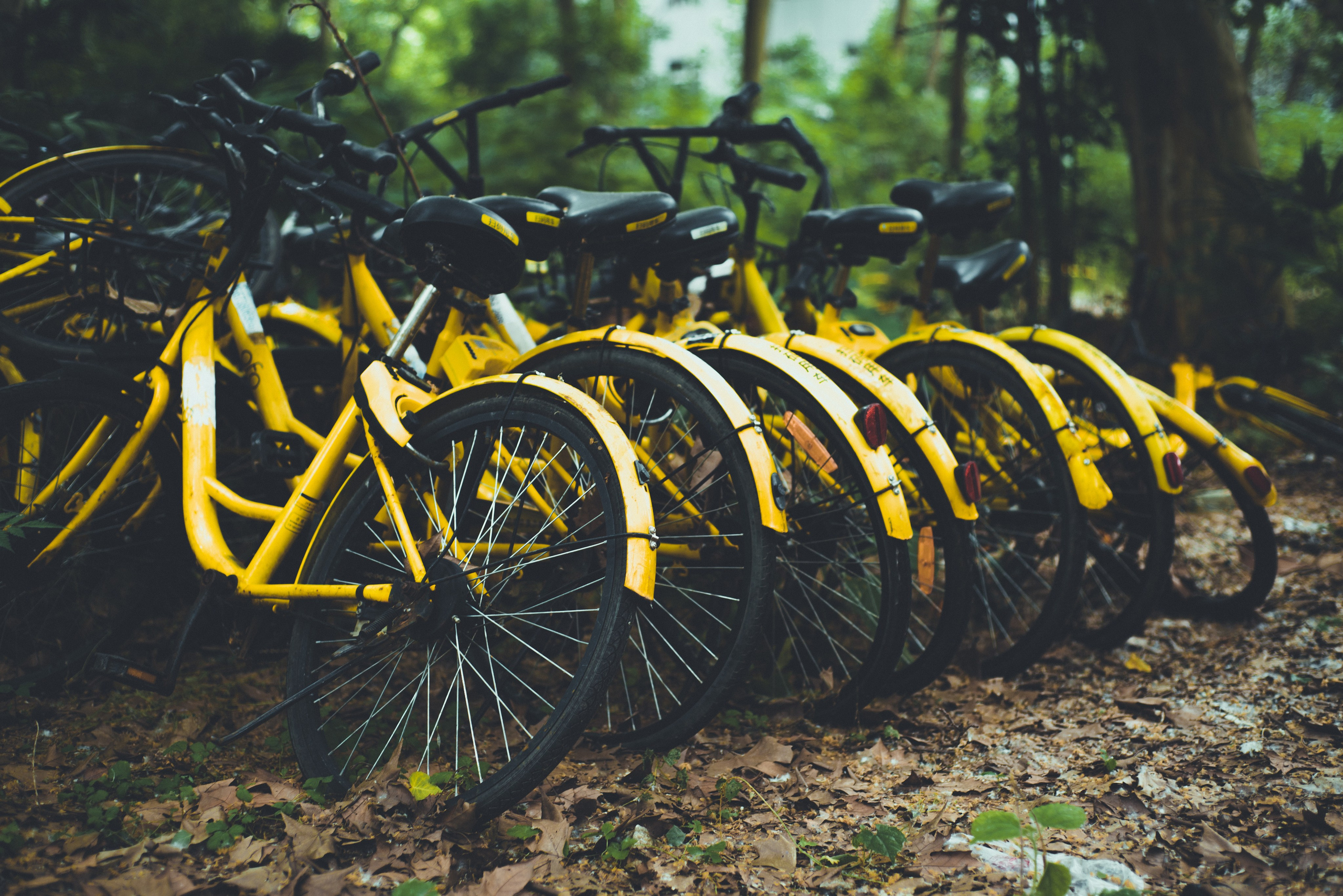 Рекламный фотограф из Гуанчжоу: путешествие по Уханю через объектив камеры. Коммерческий и предметный фотограф в Гуанчжоу Коваленко Александр