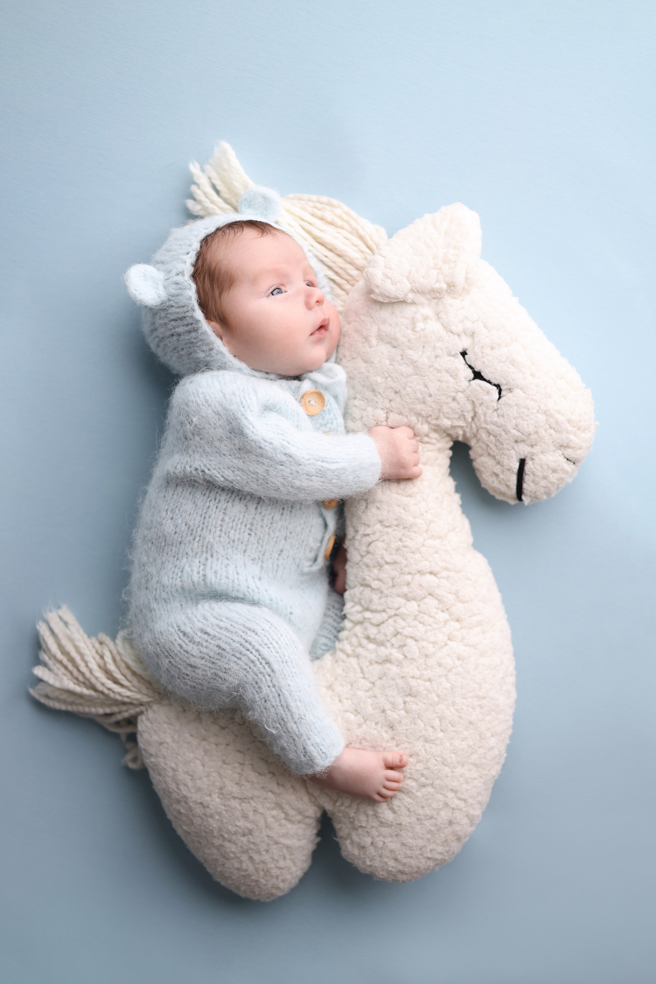 Ян и Филипп, максимальный пакет, классический стиль + natural. Фотограф новорожденных Москва. Ньюборн фотограф Москва