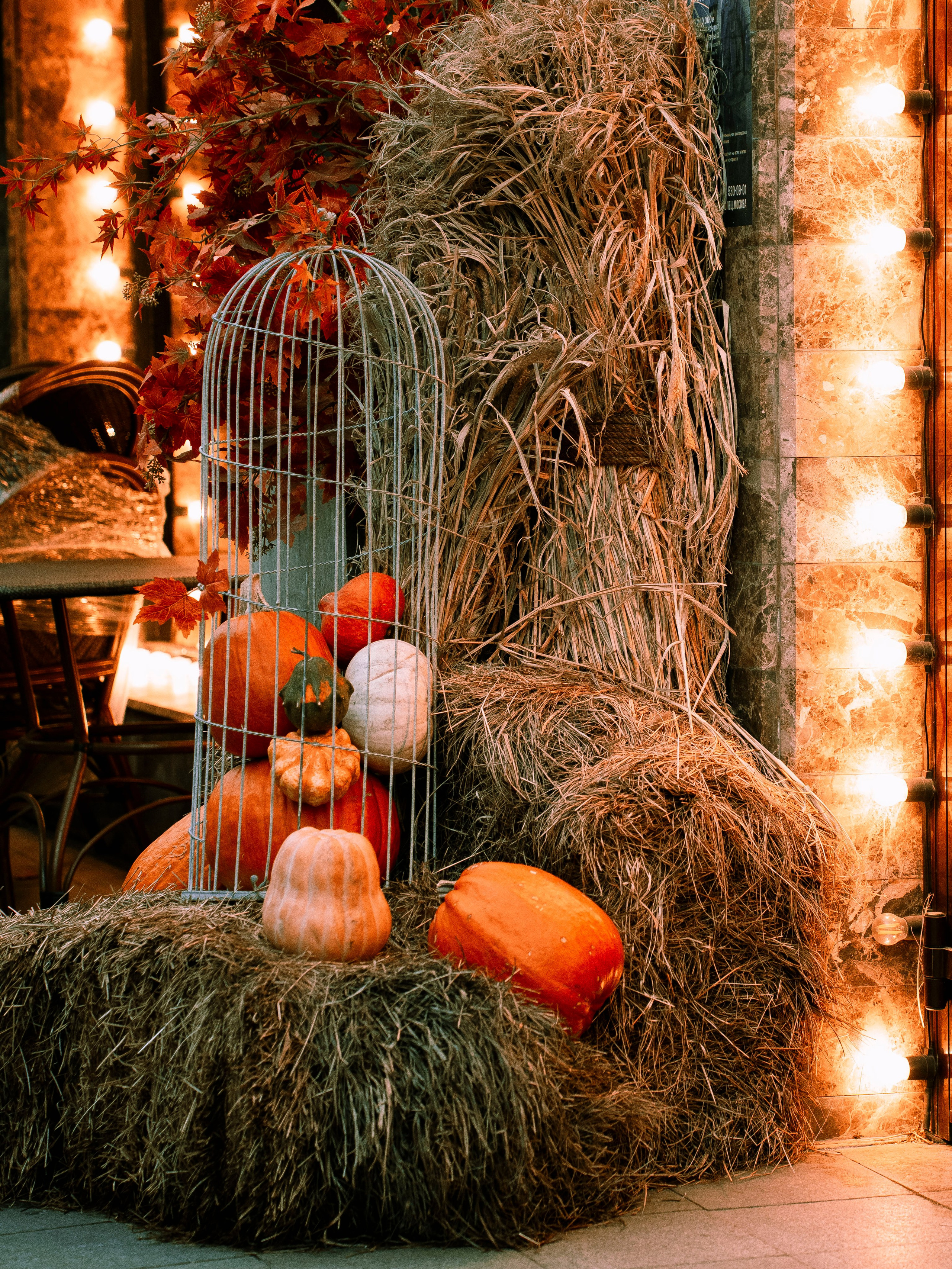 Street. Портретный фотограф Москва Белогорцев Сергей