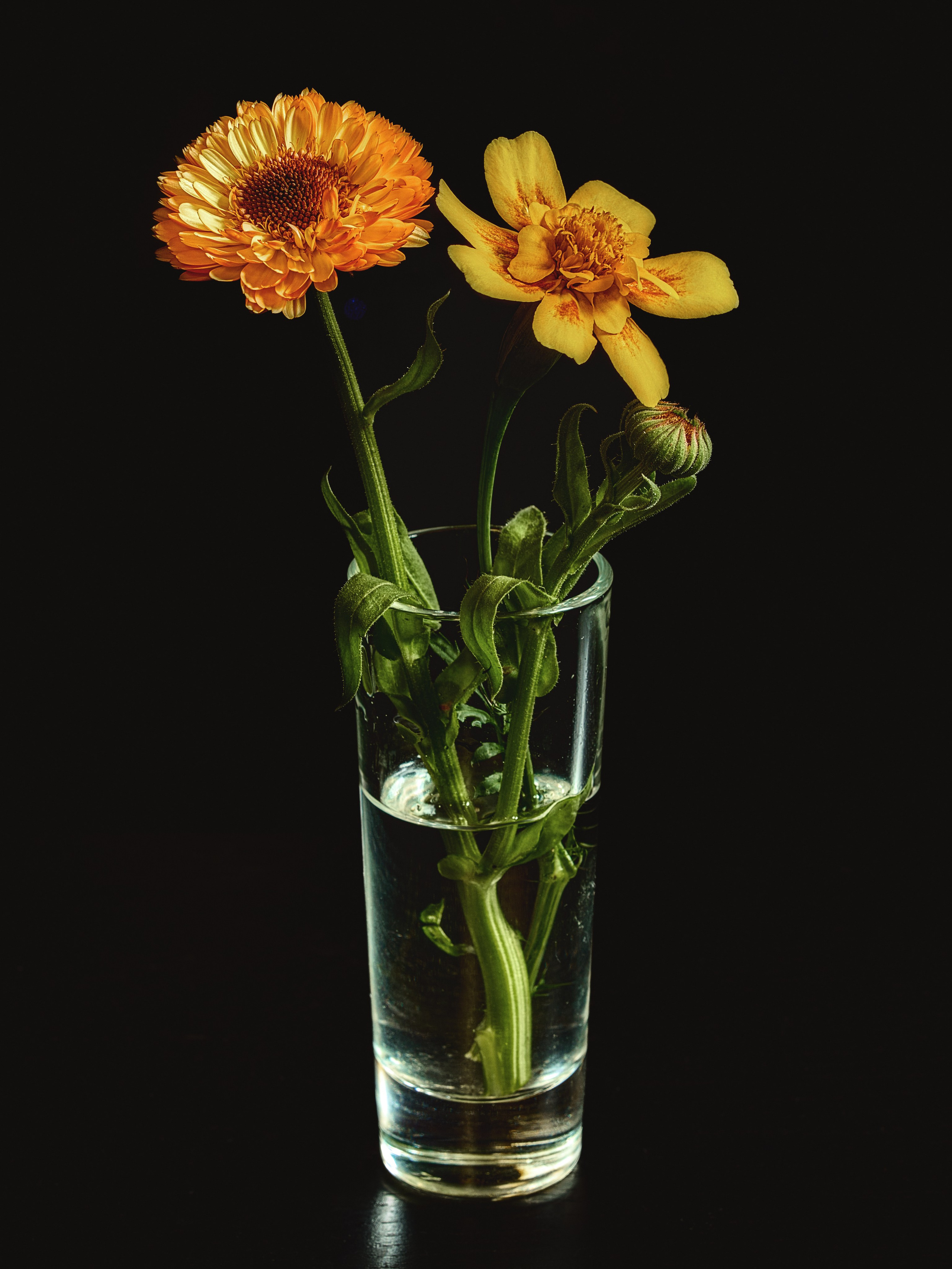 Цветы. Пейзажный и семейный фотограф в Санкт-Петербурге Александр Белов