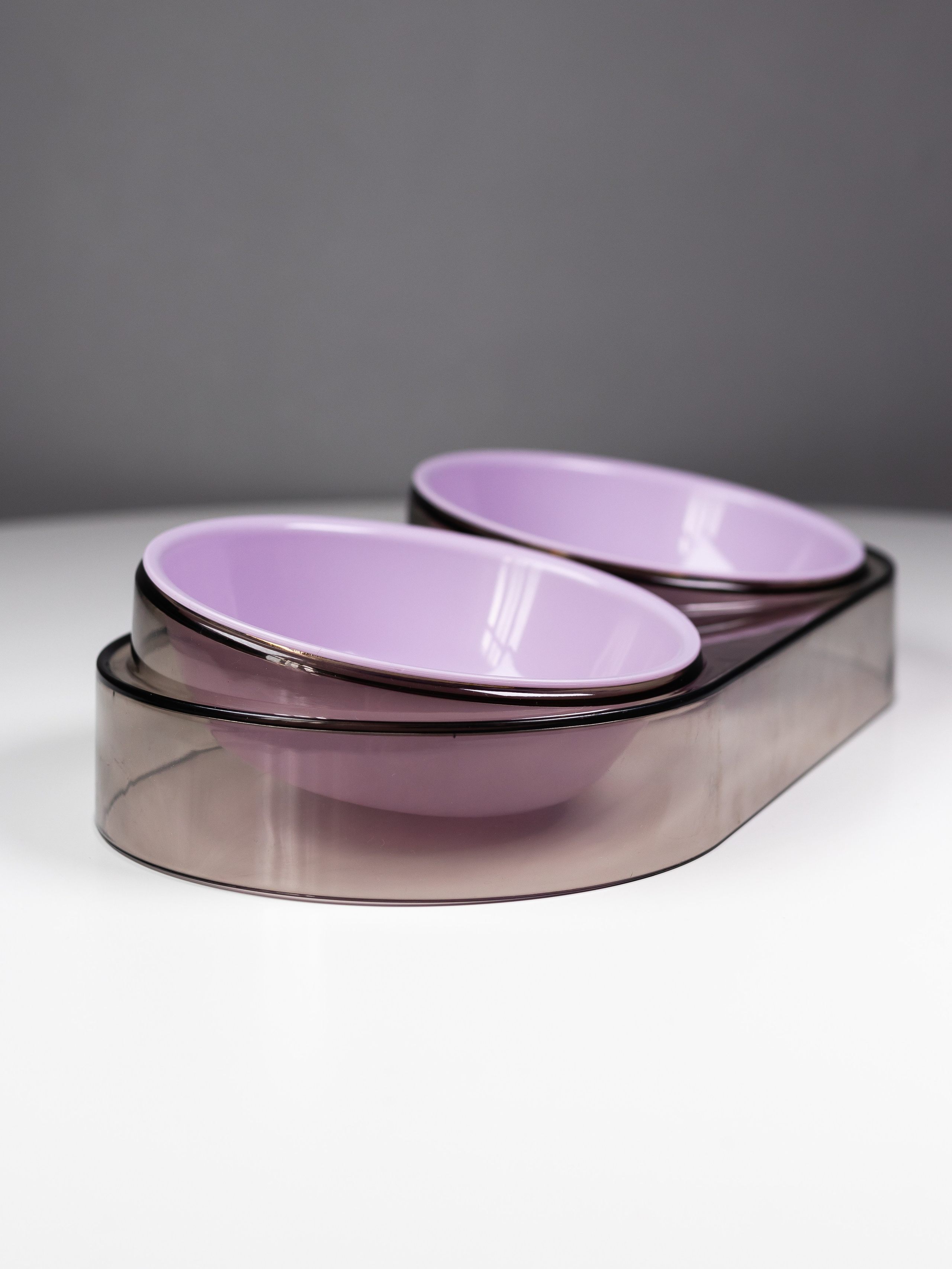 Миска для собаки. Фотограф в Краснодаре Арина Кудряшова