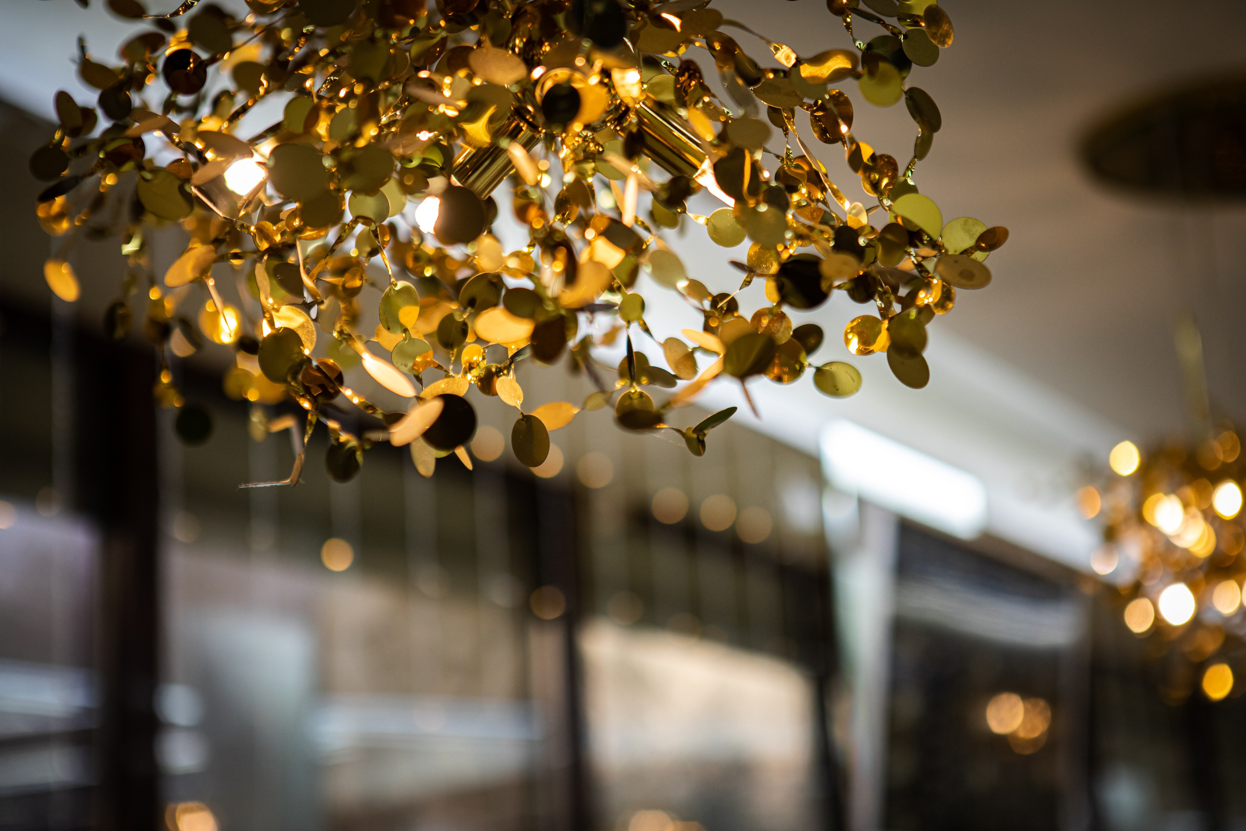 Юбилеи, выпускные, праздники. Главная