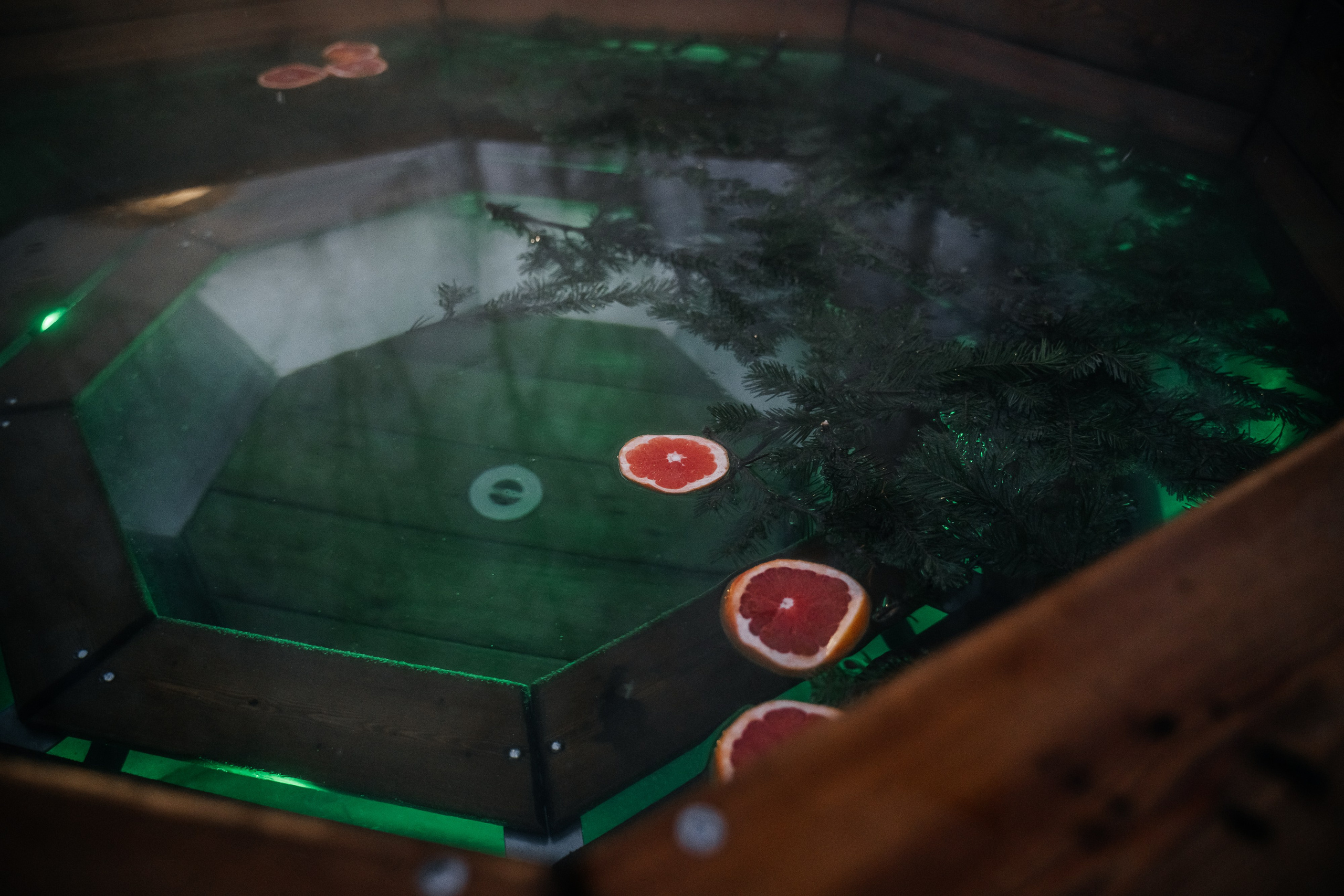 База «Сибирика». Свадебная  съемка на Алтае