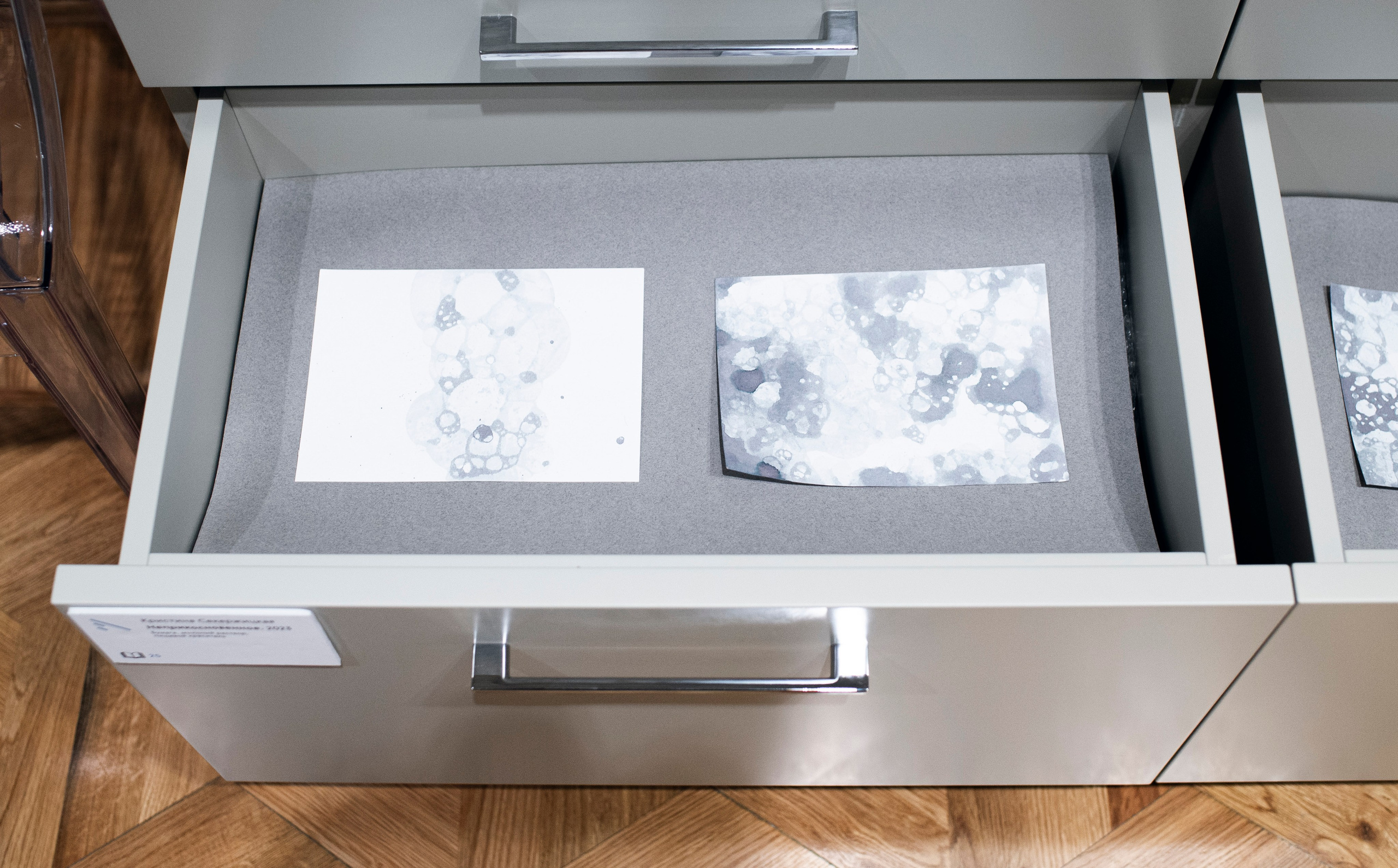 Выставка в доме Третьяковых. Фотограф в Москве Алейникова Евгения