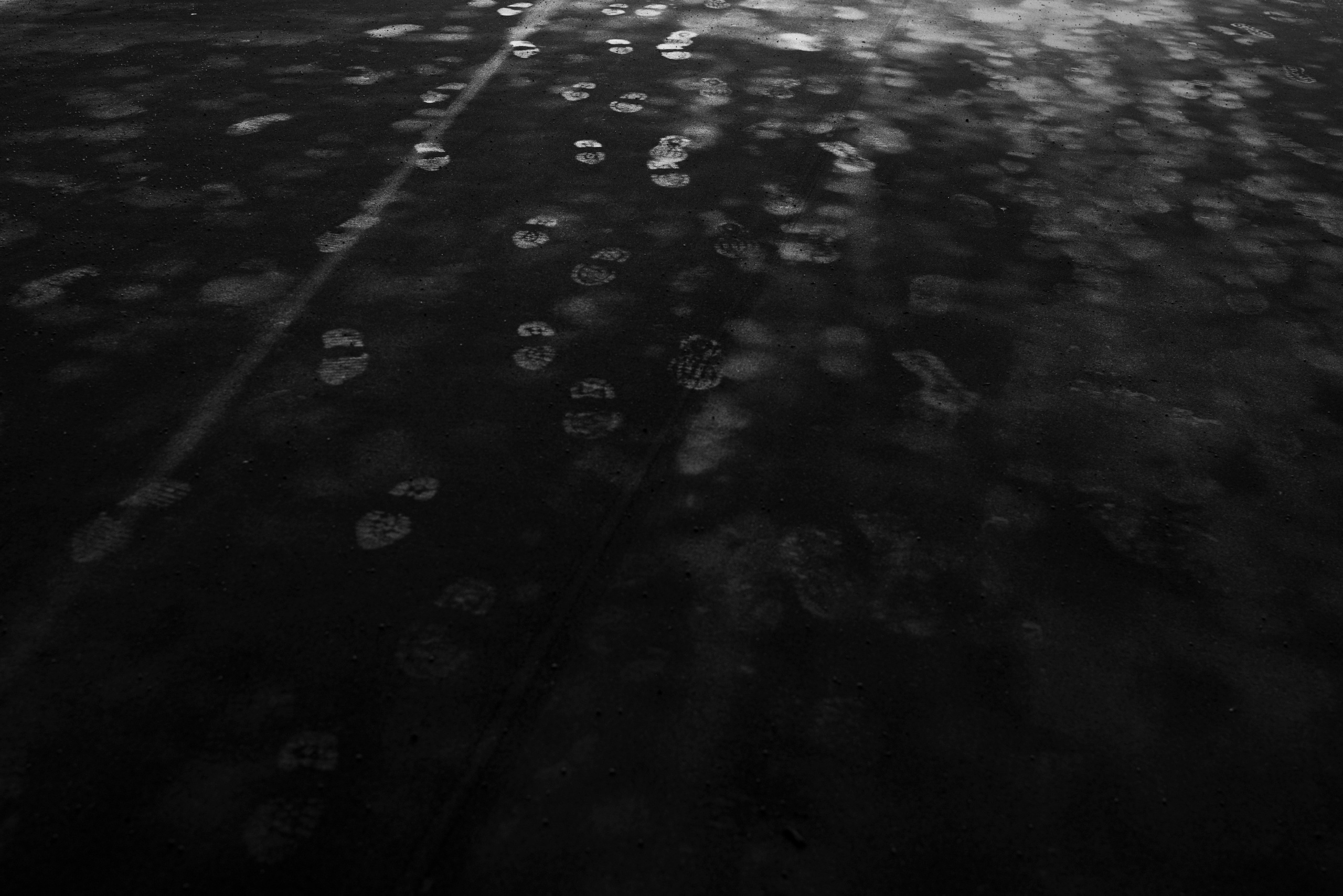 Разное неважное. Фотограф в Москве Алейникова Евгения