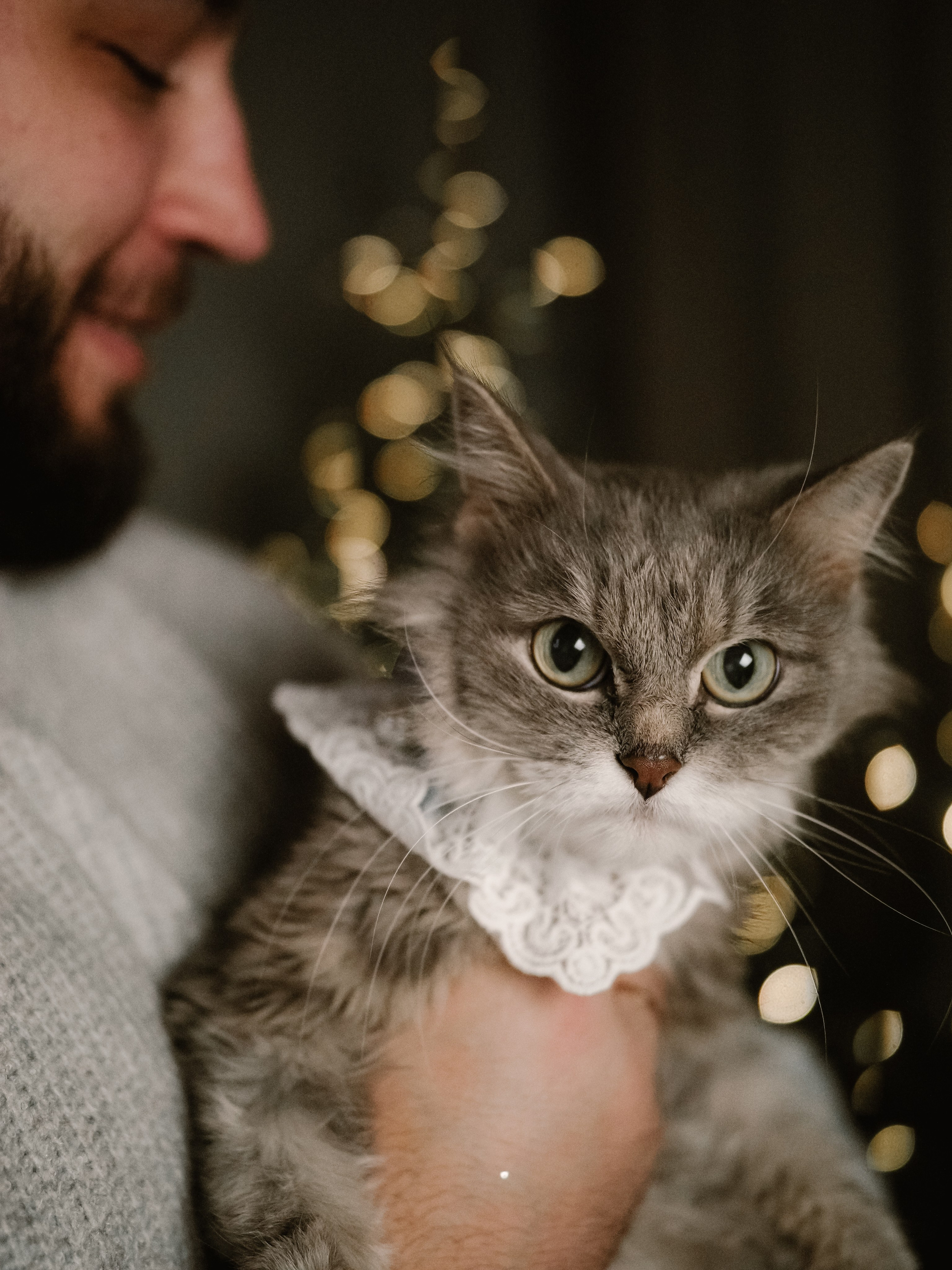 Mrrrr christmas. Фотограф Рязань. Семейный Свадебный фотограф