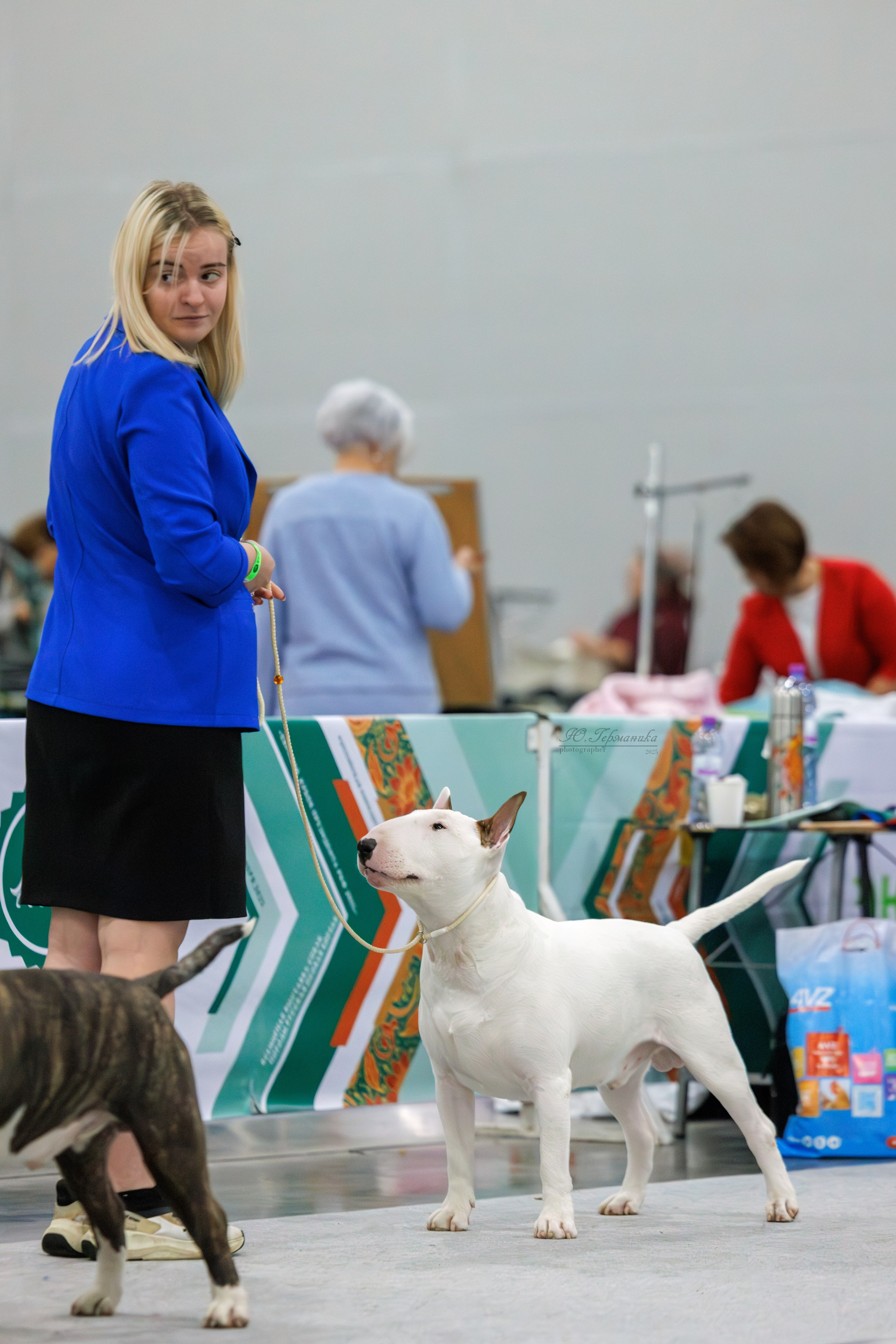 Евразия 15-16.11.2025. Фотограф-анималист Юлия Германика