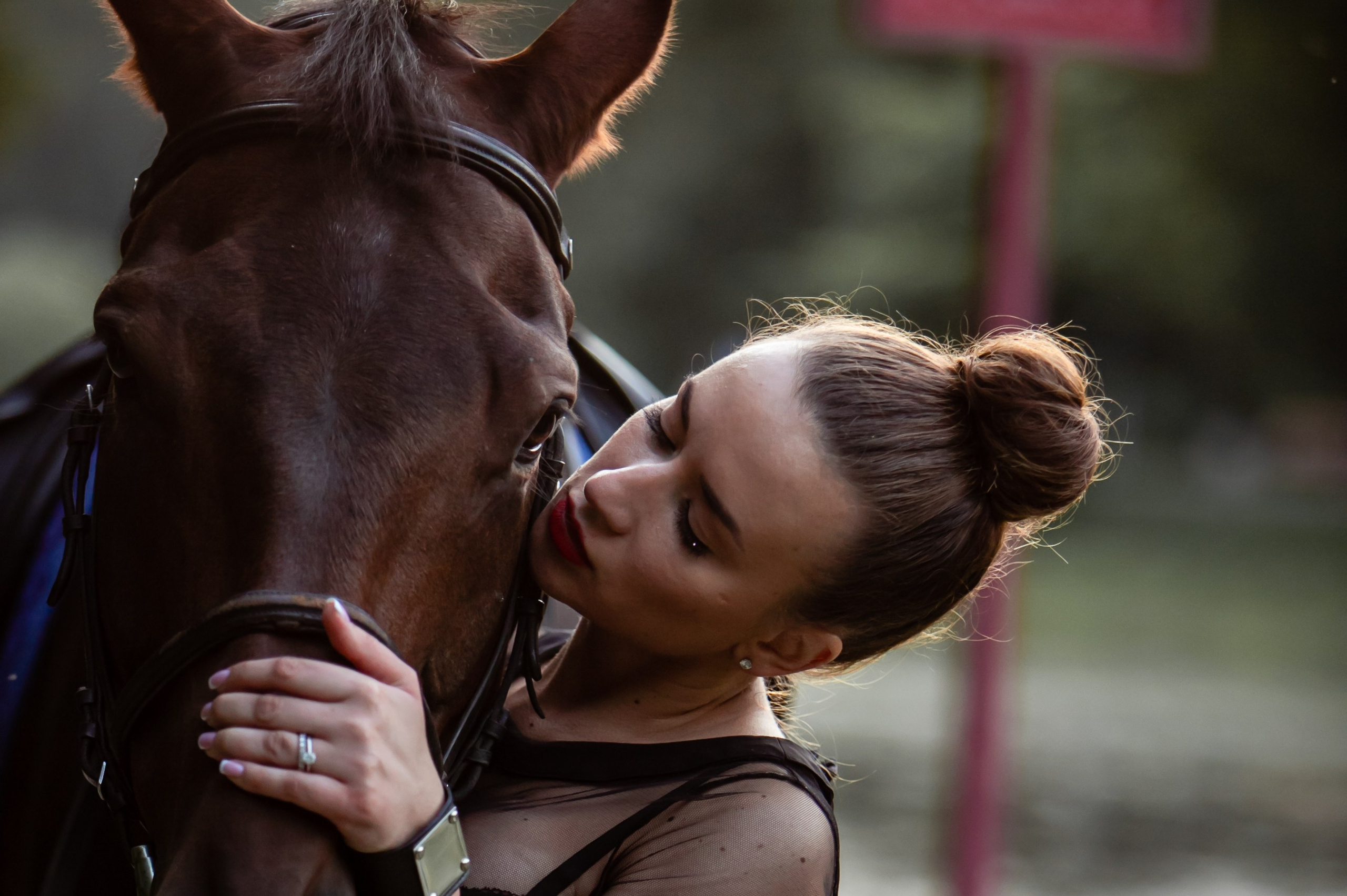 Фото с лошадьми. Фотограф Елена Лагода