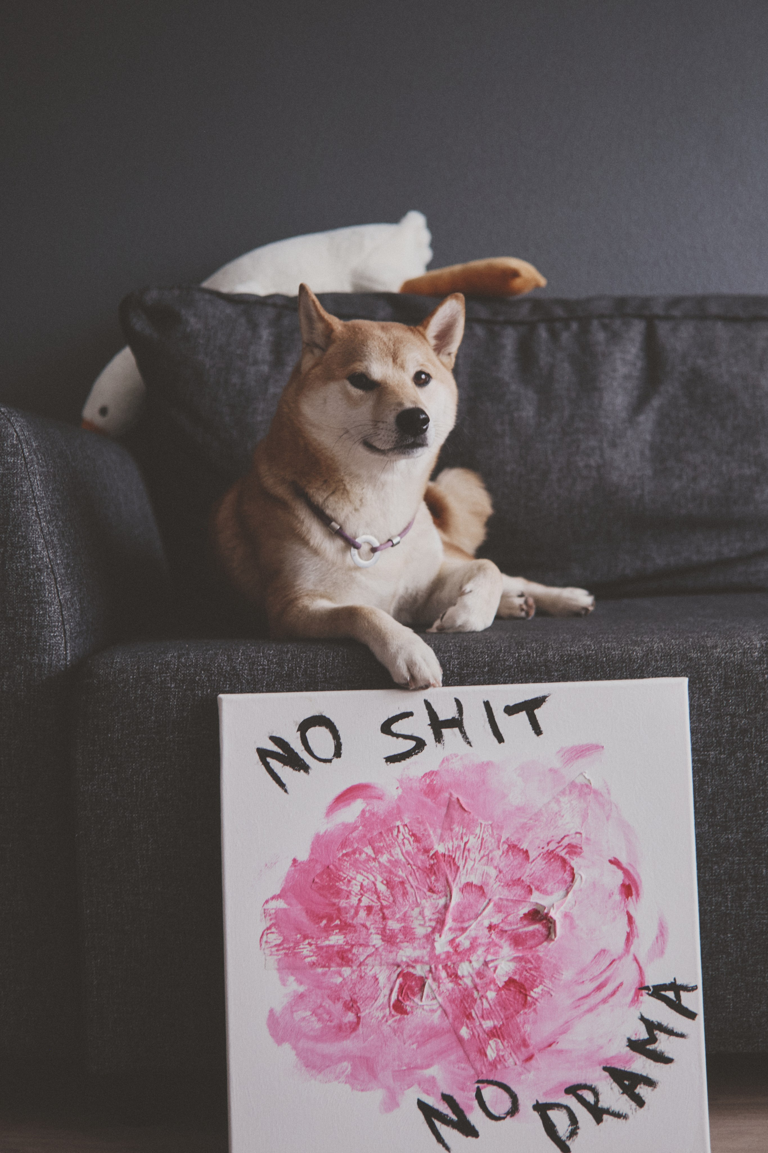 Masha. Portrait, family and pet photographer in Cyprus, Ksenia Bourdelle