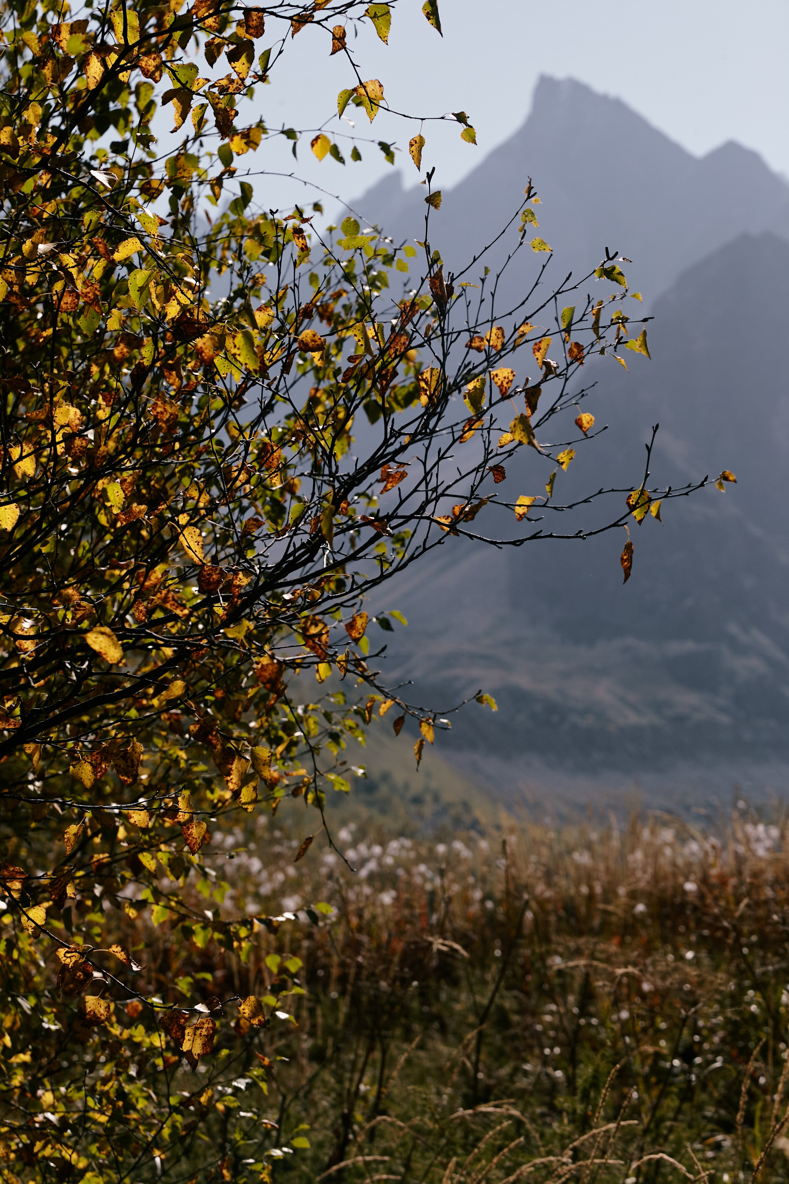 Чегем, дорога к леднику Шаурту. Фотограф Продюсер в горах КБР / Москва  Нальчик Горы