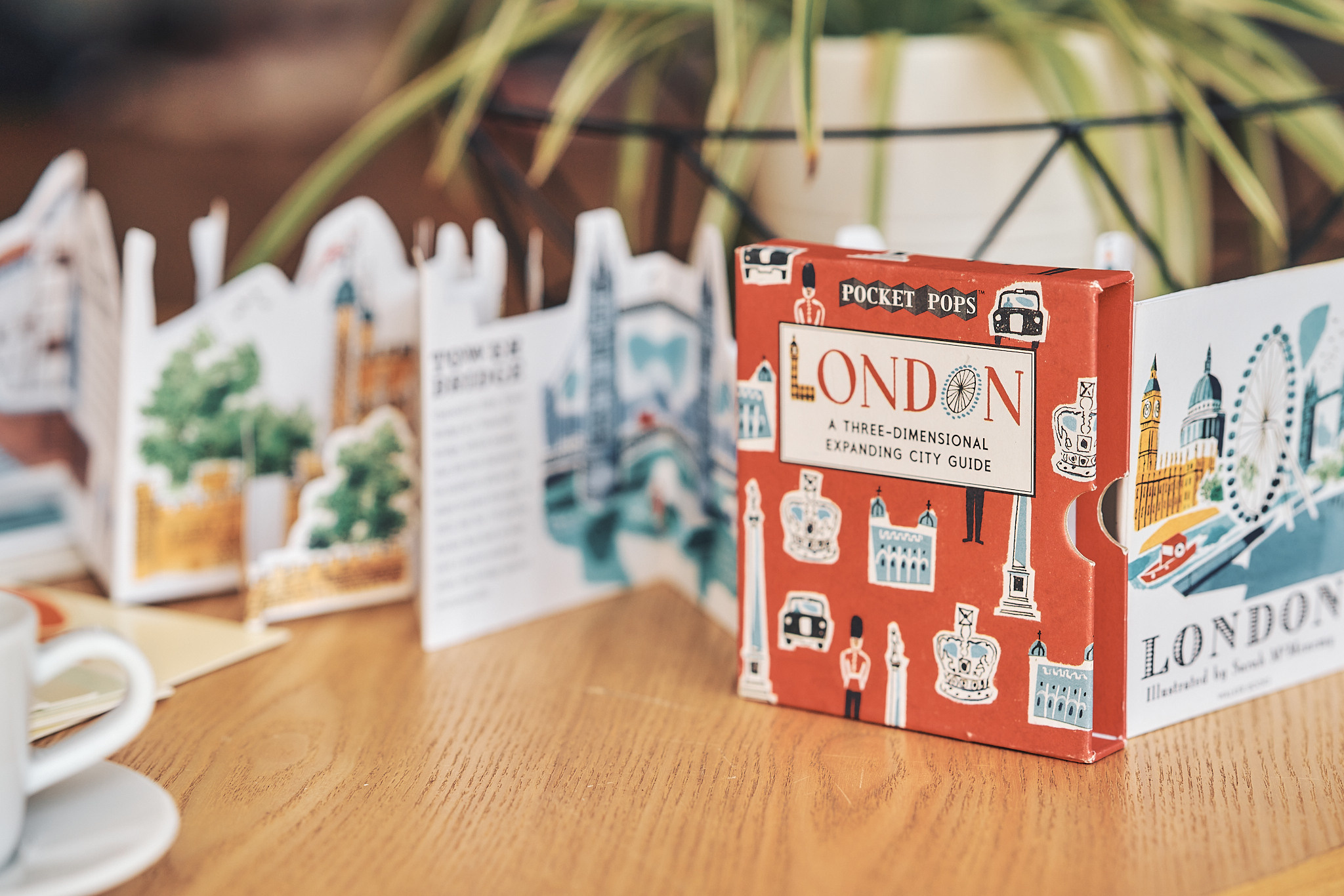 Фотоконтент Учитель Английского. Agadora_photo — Фотограф в Москве и Московской области