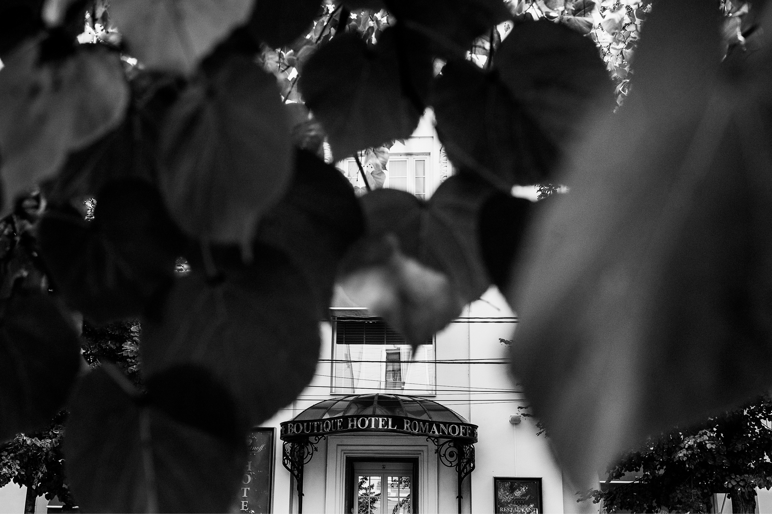 Аркадий и Кристина. Свадебный фотограф в Новороссийске Александр Абрамян