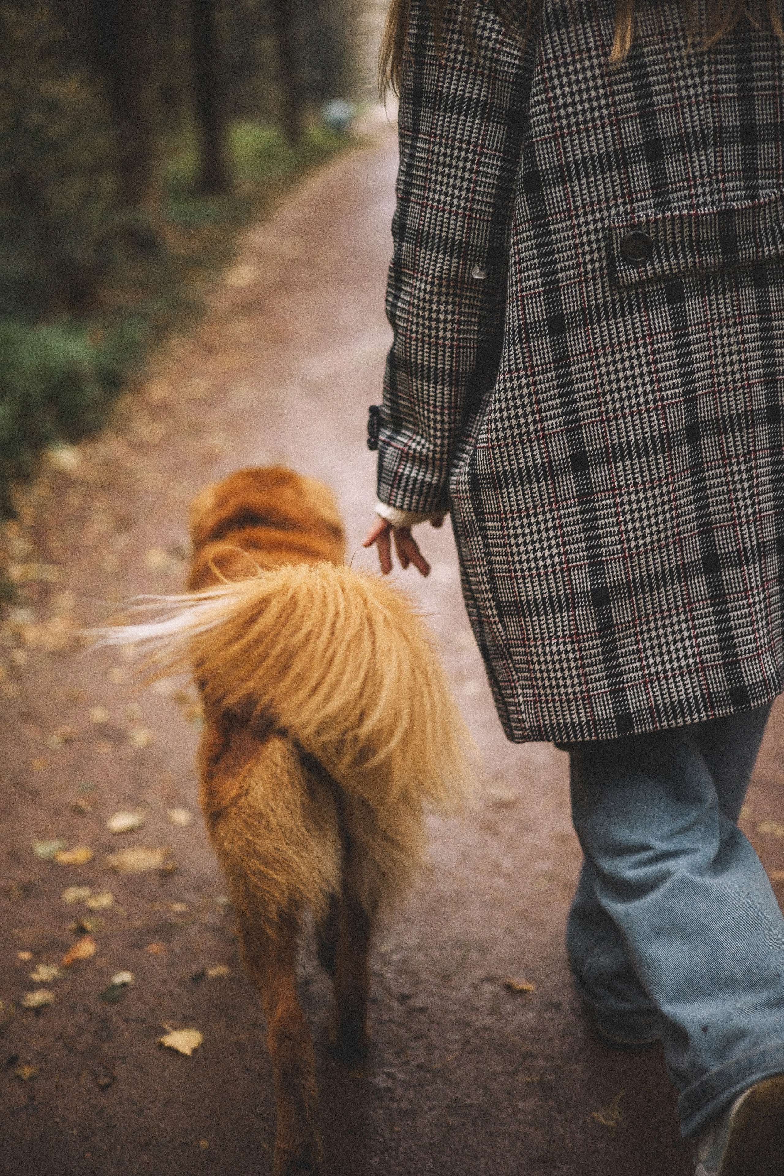 Алина и Бис. Фотограф-анималист Богданова Полина