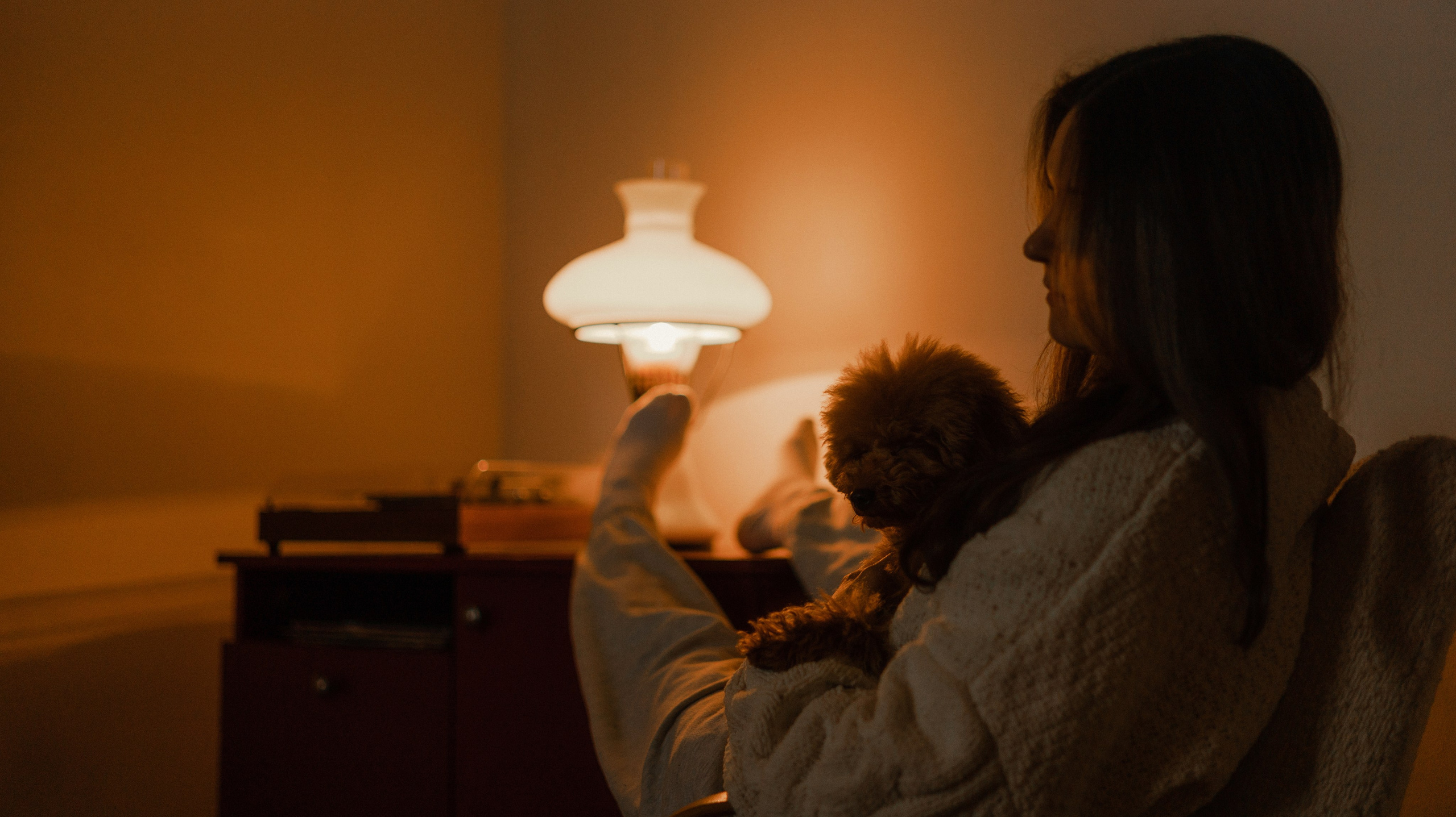 Маша, Одди и Нэвил. Фотограф-анималист Богданова Полина