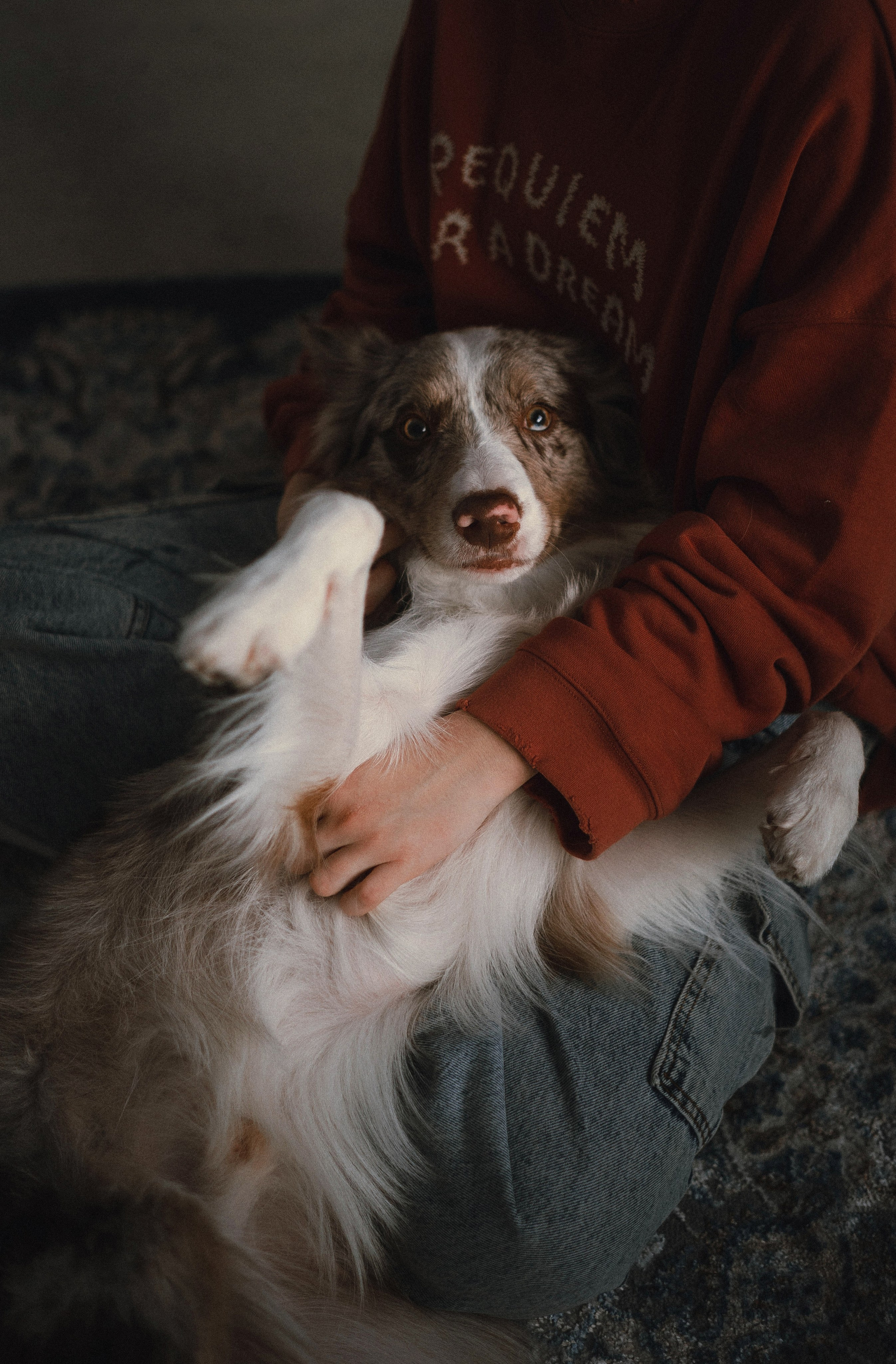 Аня и Дэймон. Фотограф-анималист Богданова Полина