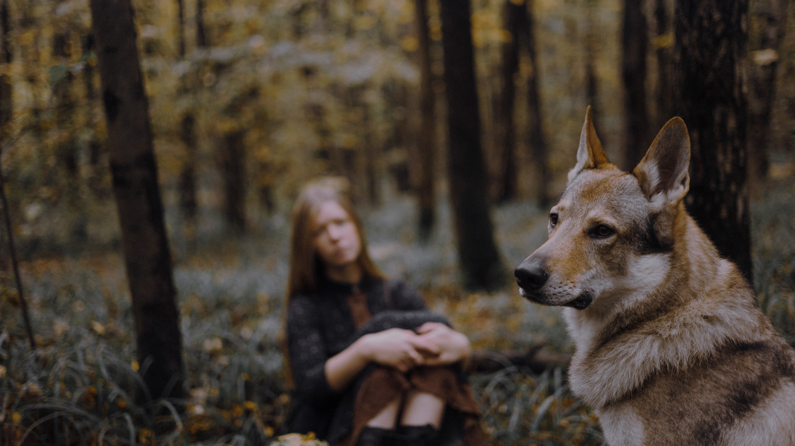 Полина и Вегард. Фотограф-анималист Богданова Полина